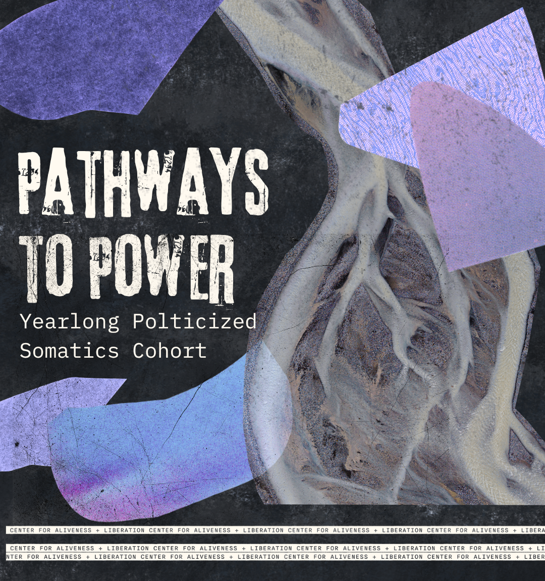 A poster titled 'Pathways to Power' features abstract digital art with earth and vein-like structures overlapping geometric shapes in purple, lavender, and pink. Text mentions 'Yearlong Politicized Somatics Cohort' and the bottom displays repeated text about the Center for Aliveness and Liberation.