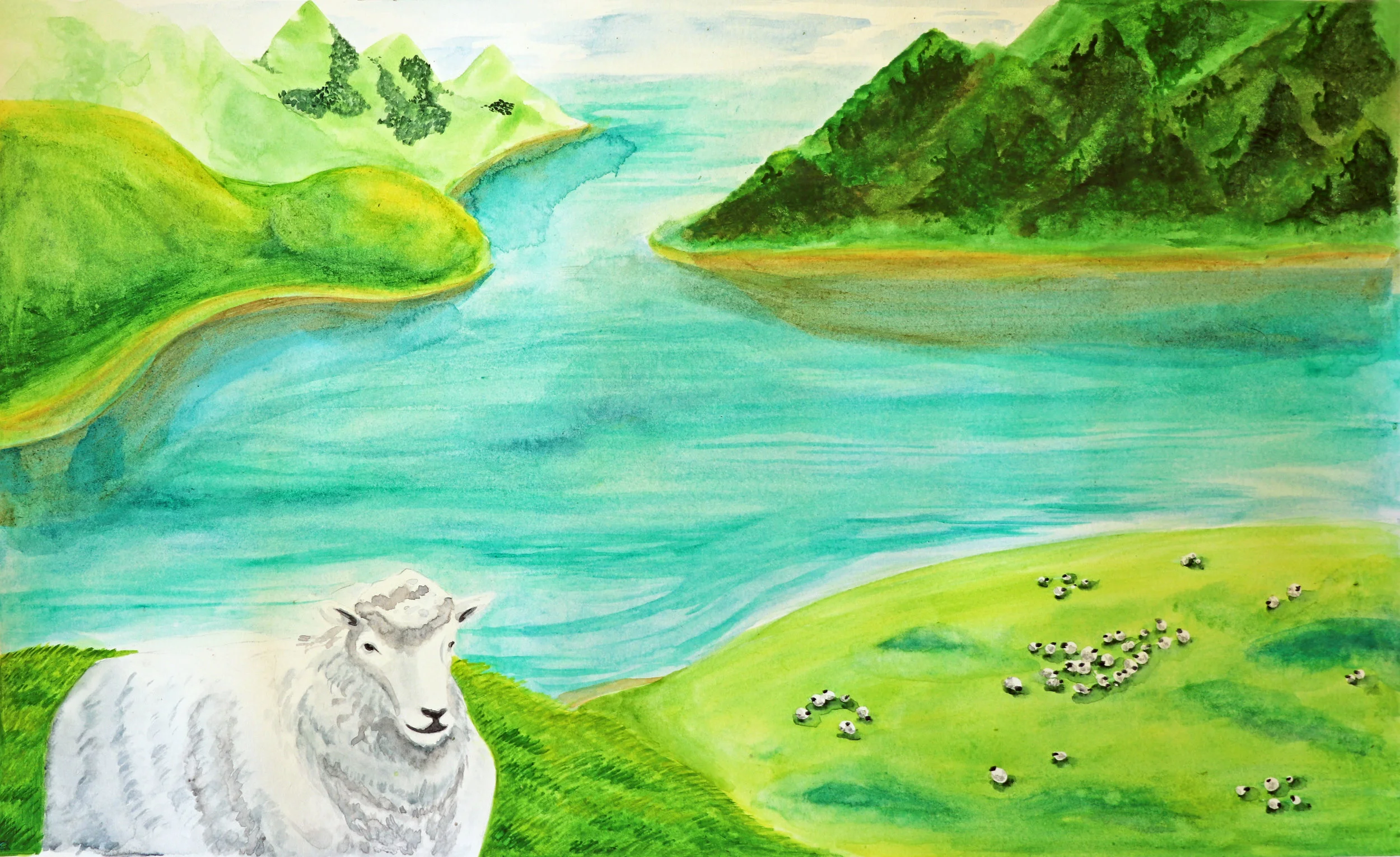 Tara Garrigan Illustration