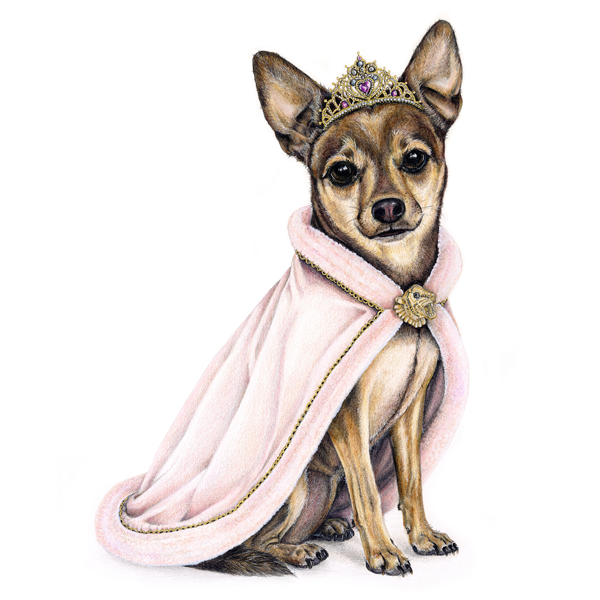 A small dog wearing a pink cape and a tiara, sitting and looking at the camera.