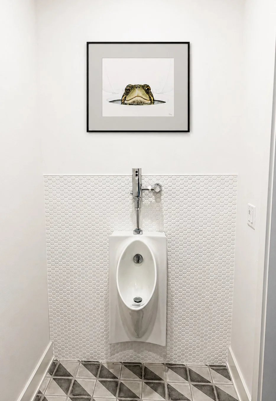 TurtleHeadFramed_bathroom.jpg