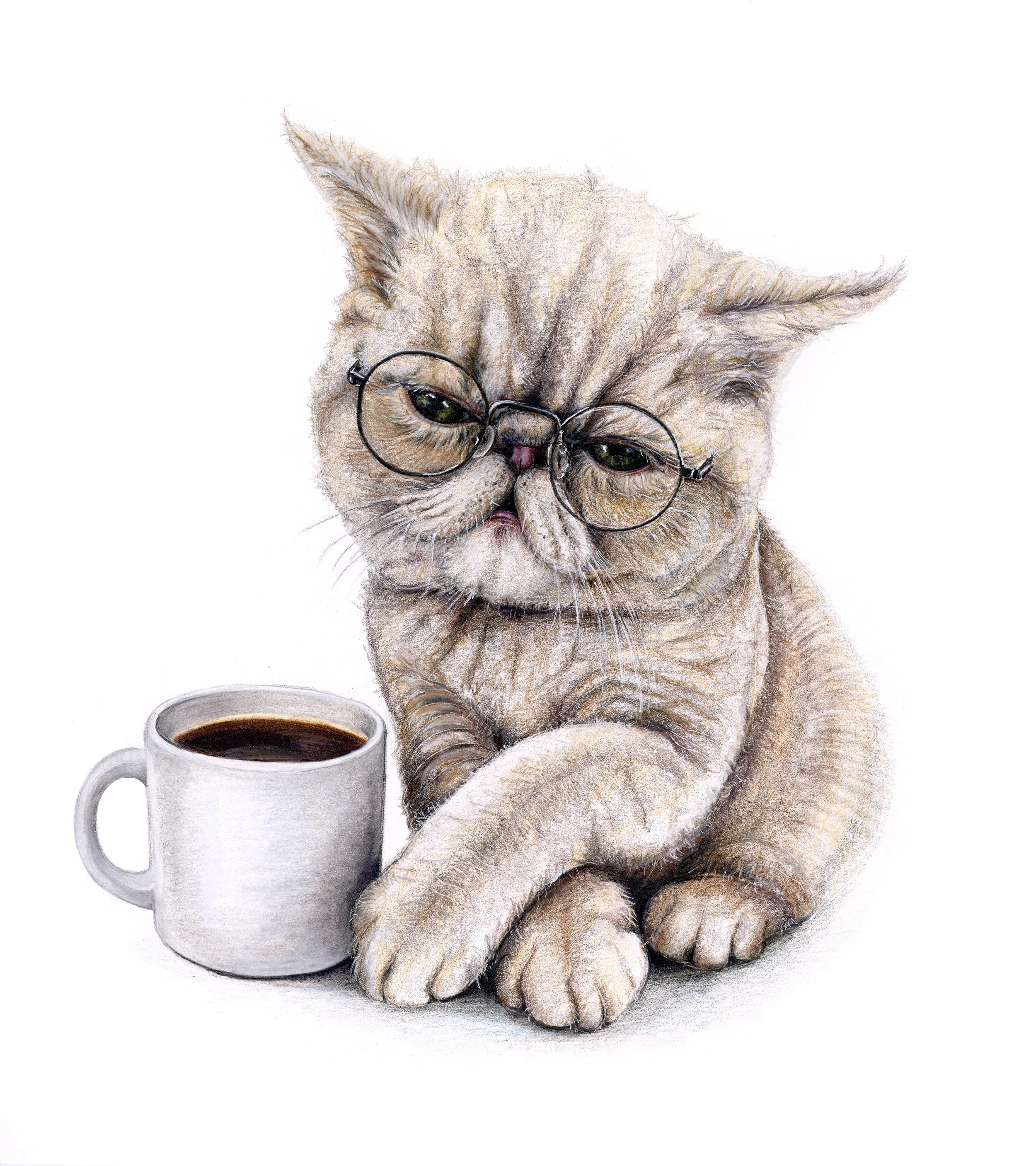 Colored pencil portrait of Norman, a cat wearing glasses and holding a coffee mug, by Huemane Art.