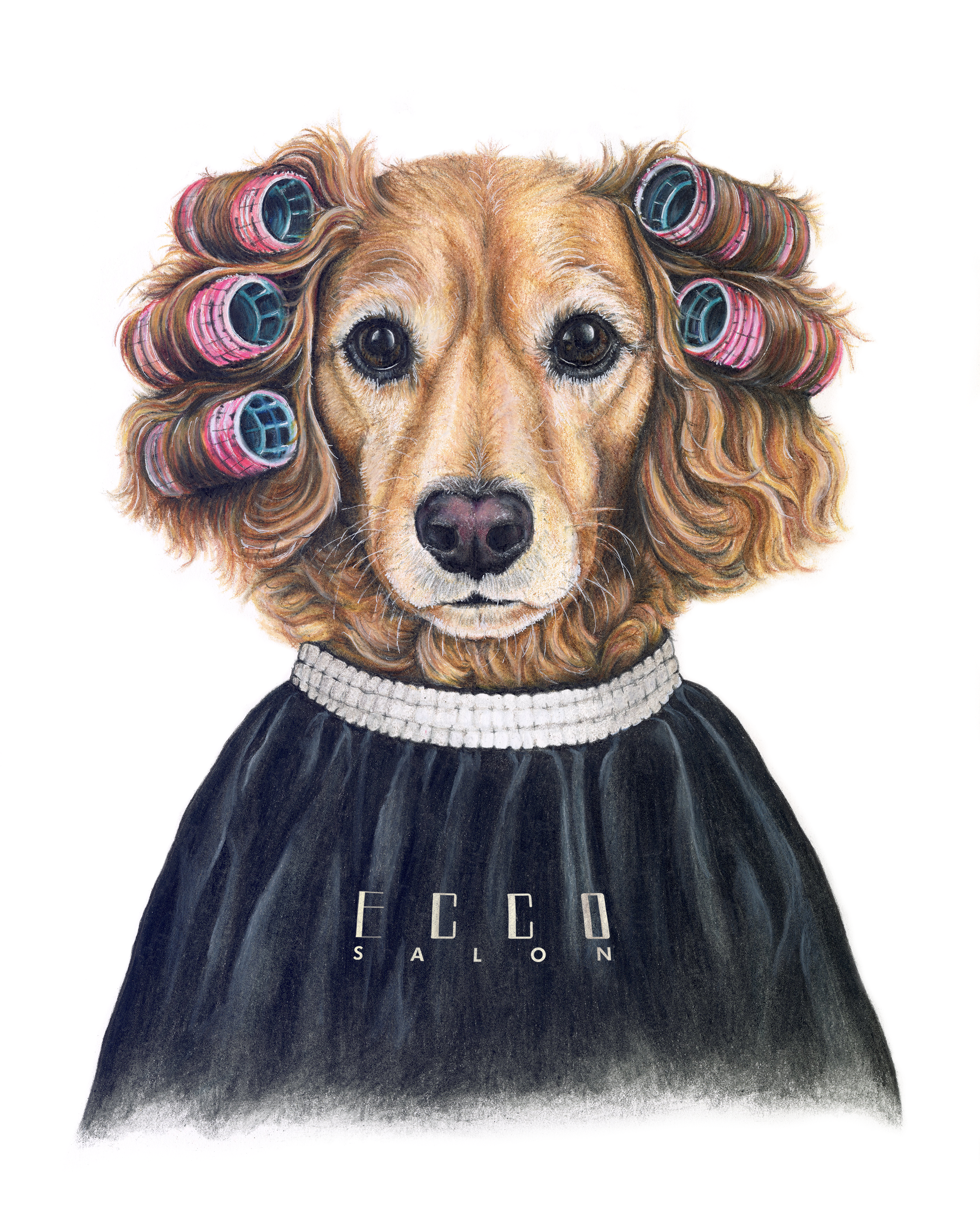 Colored pencil portrait of Tilly, a salon dog wearing curlers and a salon cape, by Huemane Art.