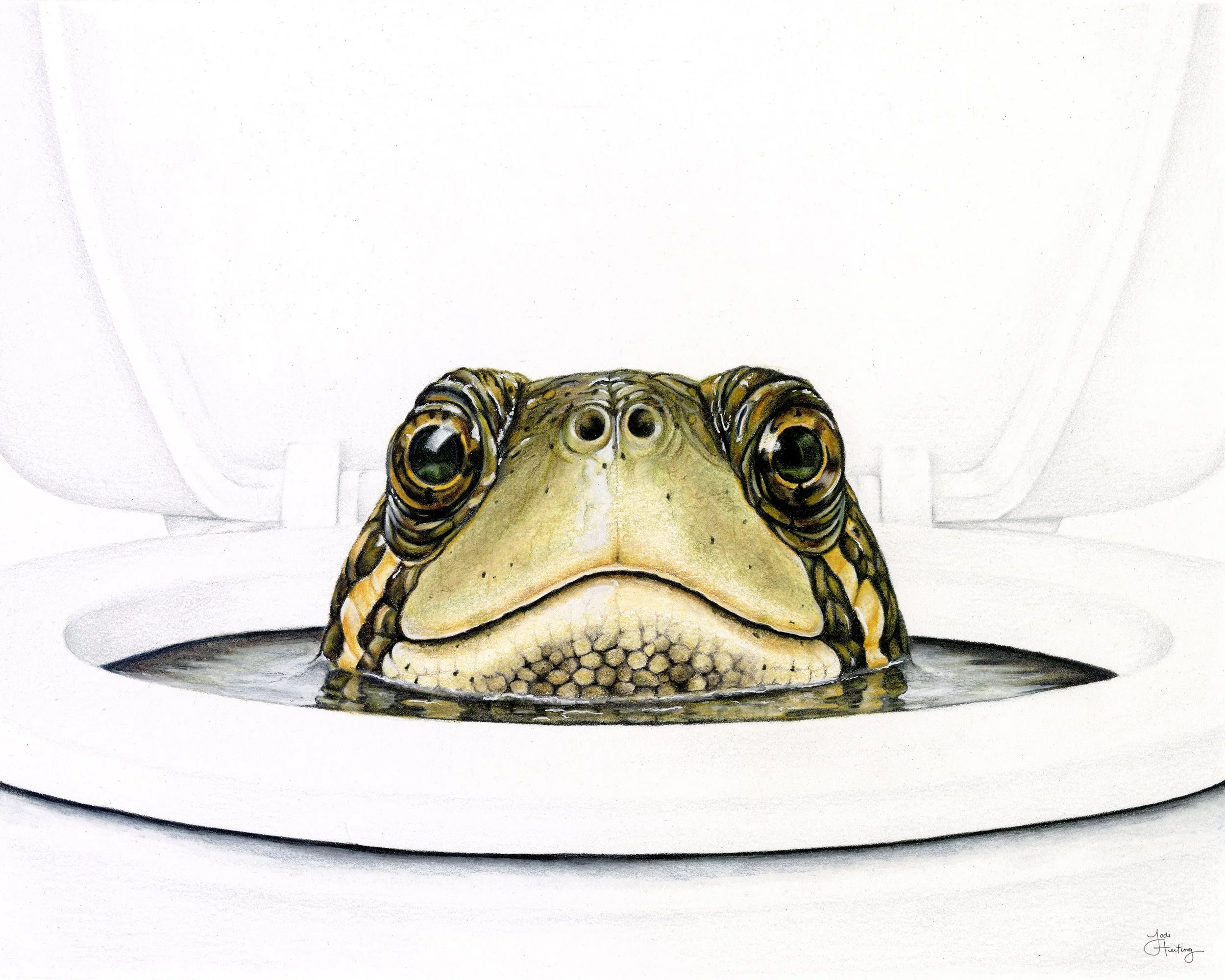 Turtle_Scan8x10_signed.jpg