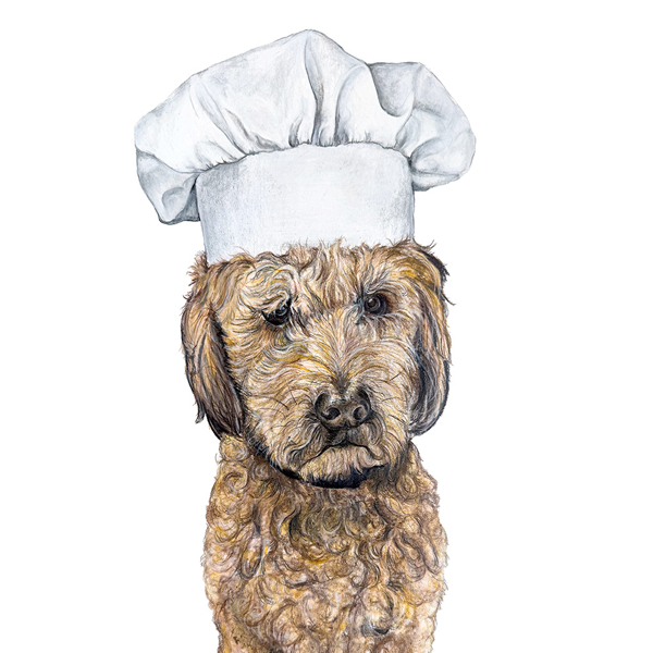 A dog wearing a chef's hat