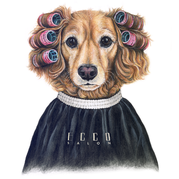 A dog with curlers in its hair, wearing a black salon cape with the text 'Ecco Salon'.