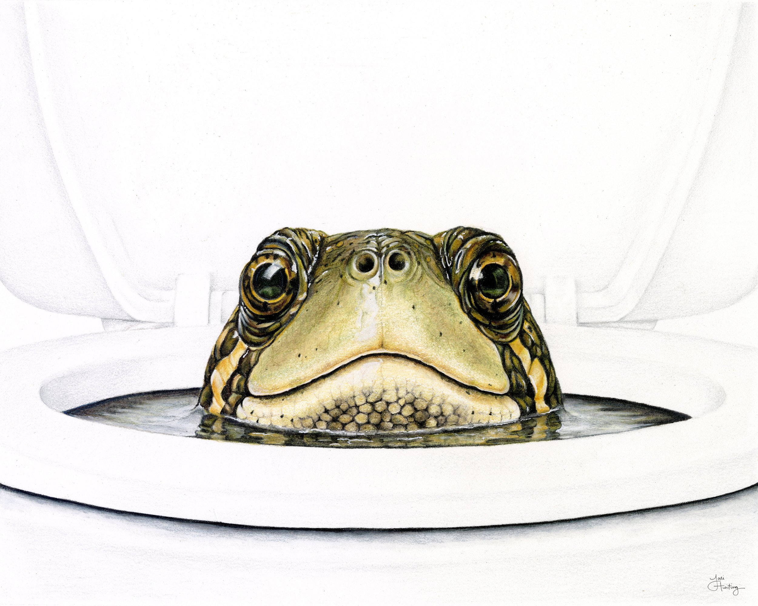 Turtle