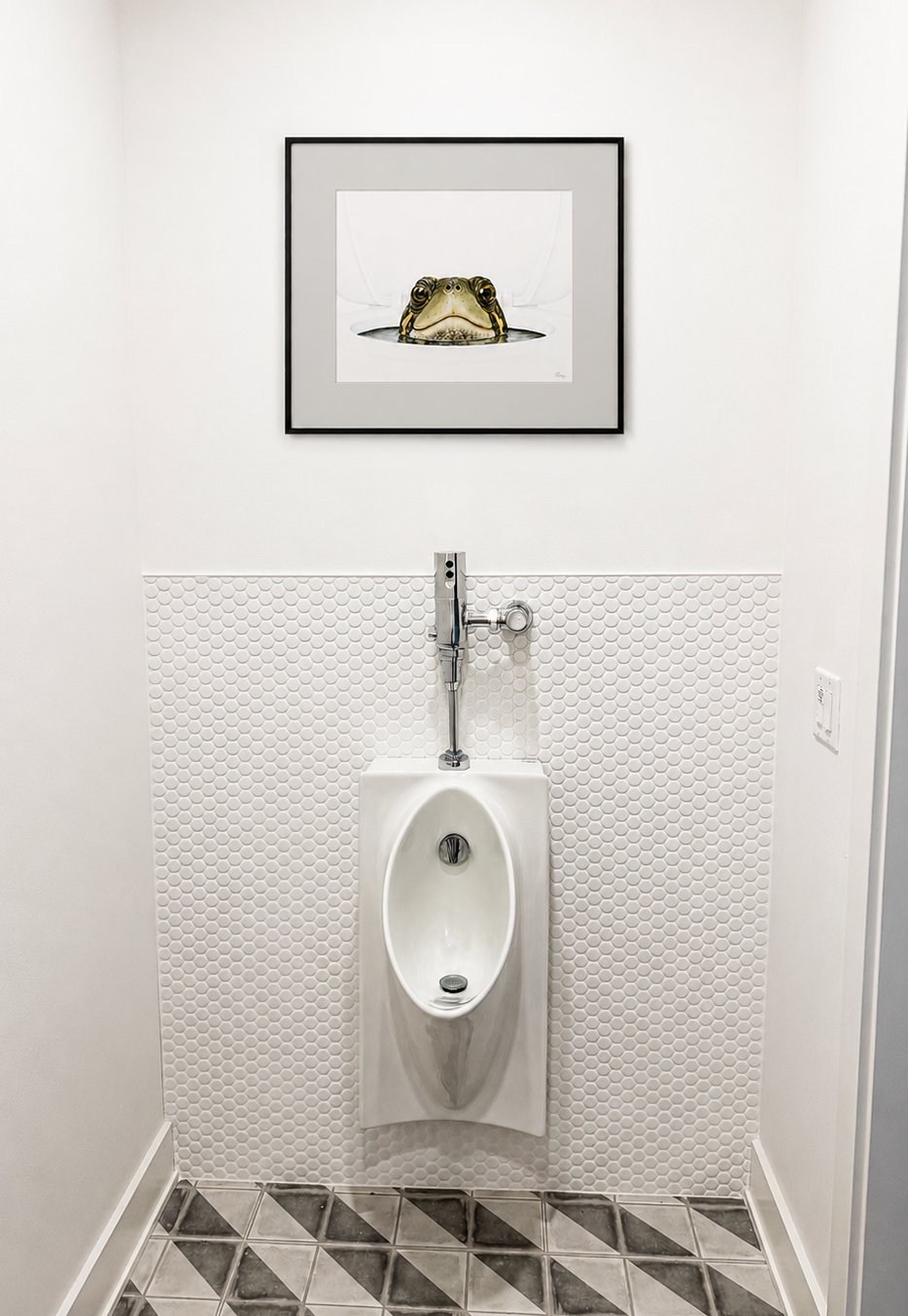 TurtleHeadFramed_bathroom.jpg