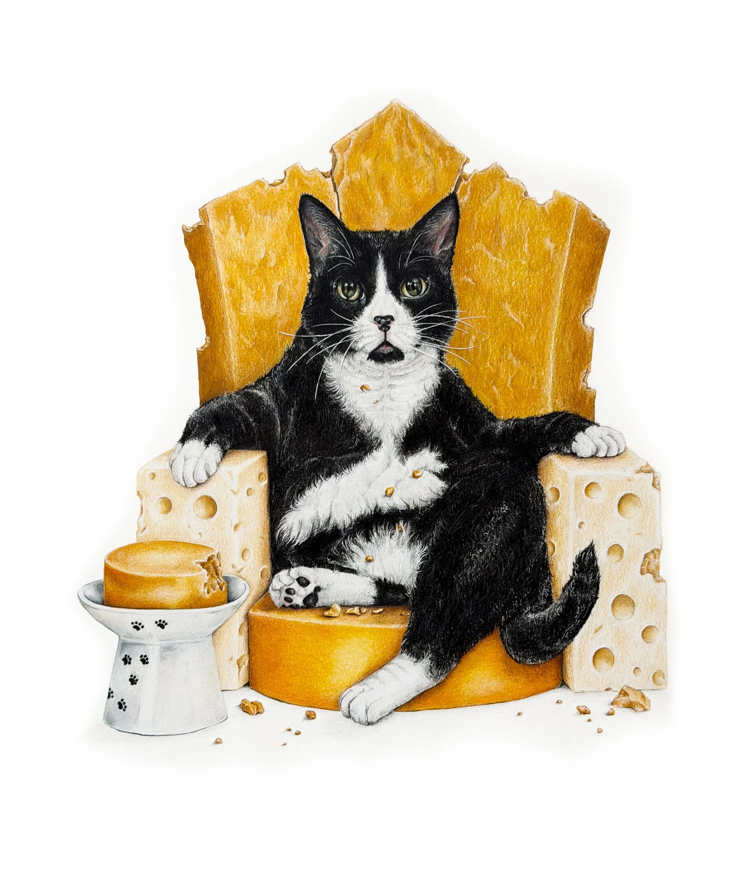 A Cat With Cheese
