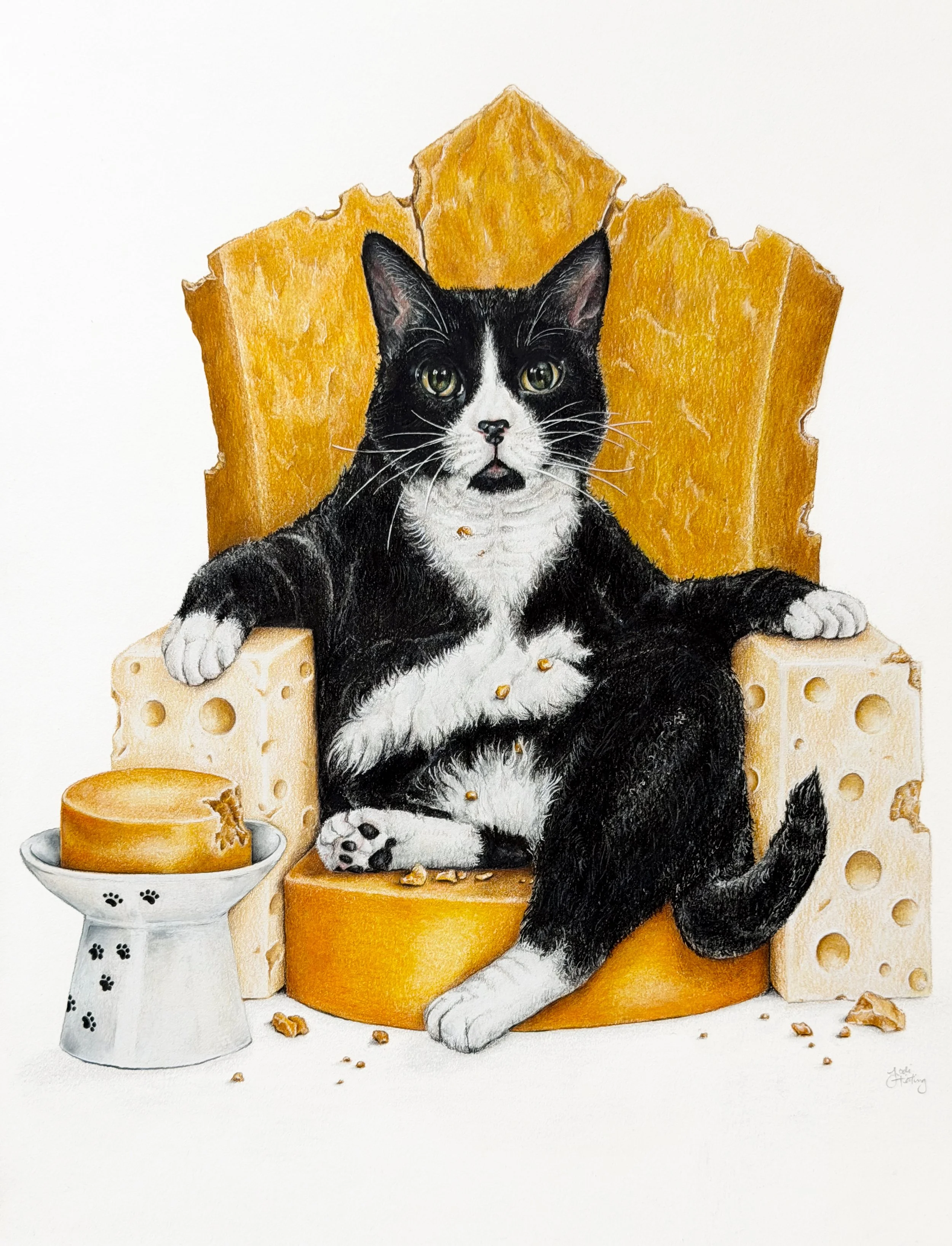 A Cat With Cheese