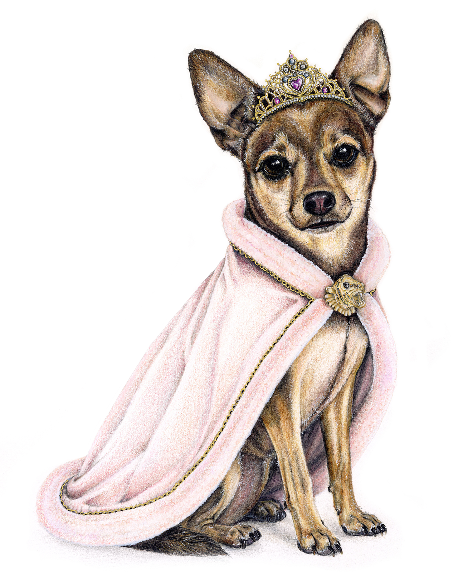 Colored pencil portrait of Queen Lupita, a dog dressed in roayl attire with a crown, by Huemane Art.