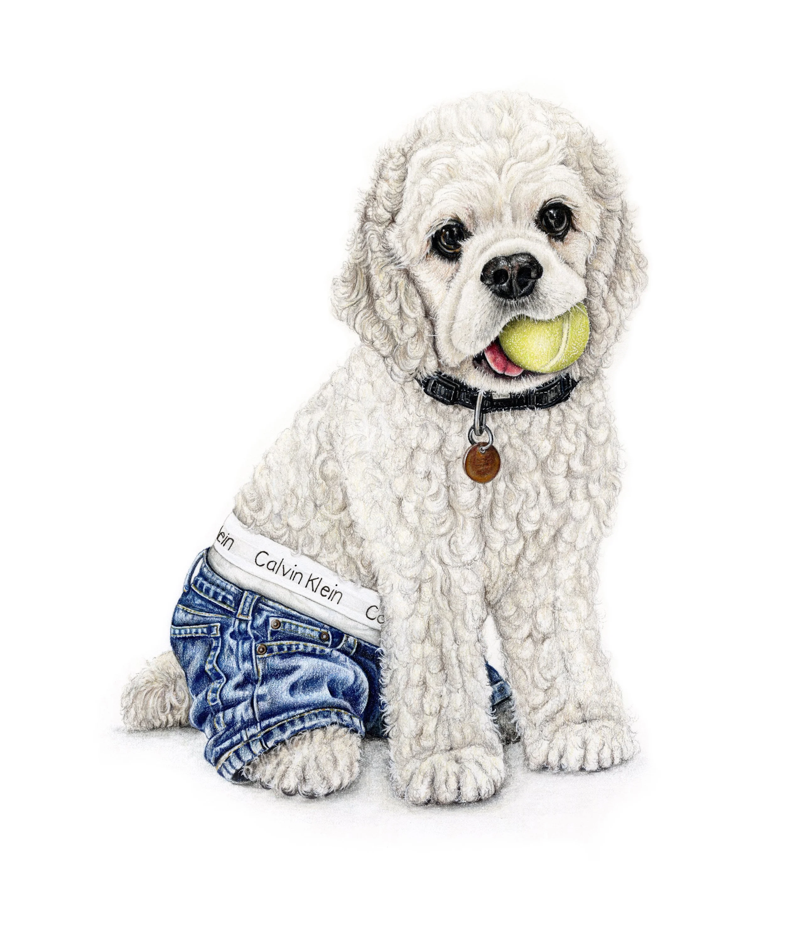 dog with calvin klein jeans