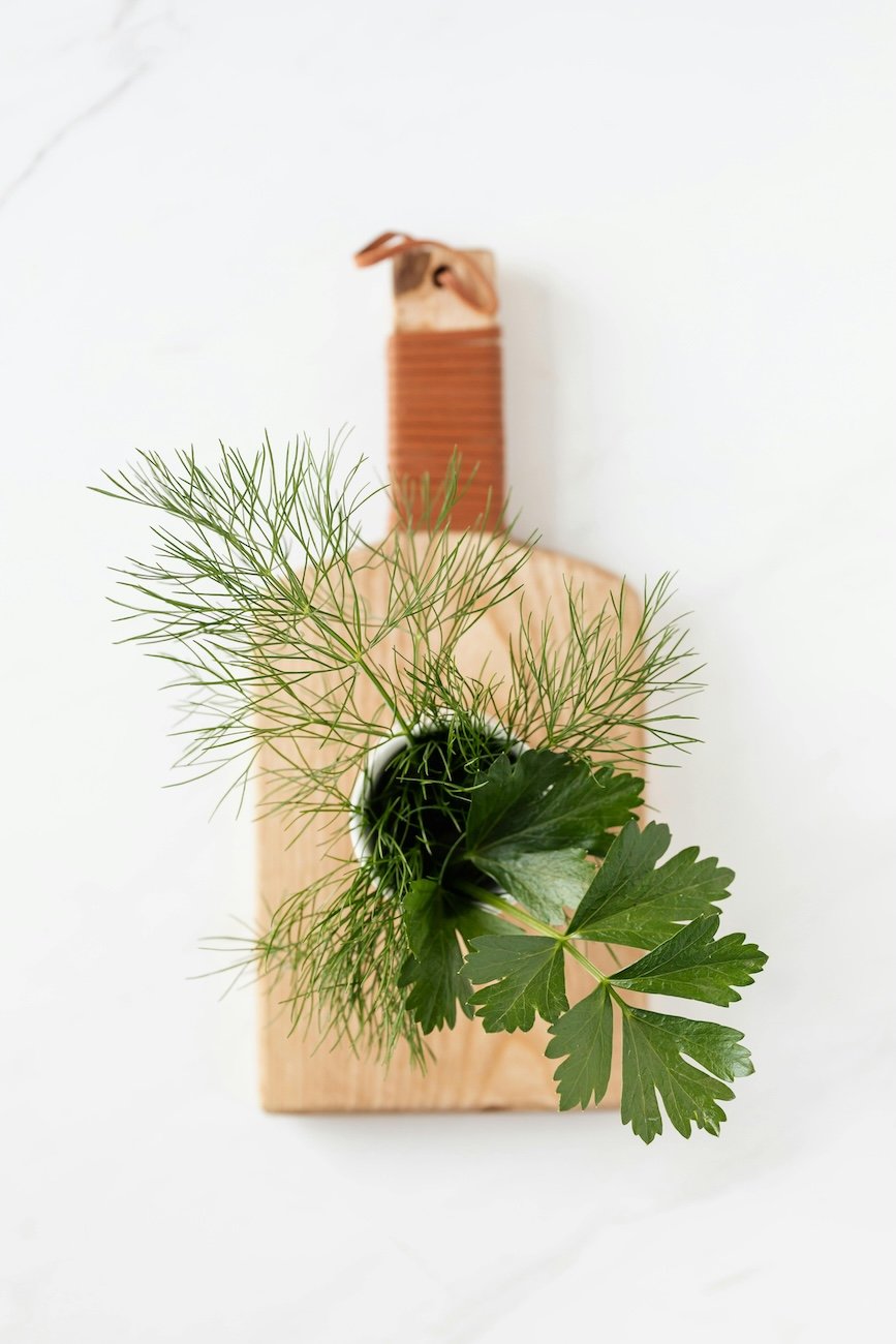 Fast forward nutrition - A small potted plant with green fern and leafy foliage placed on a wooden board against a white background.