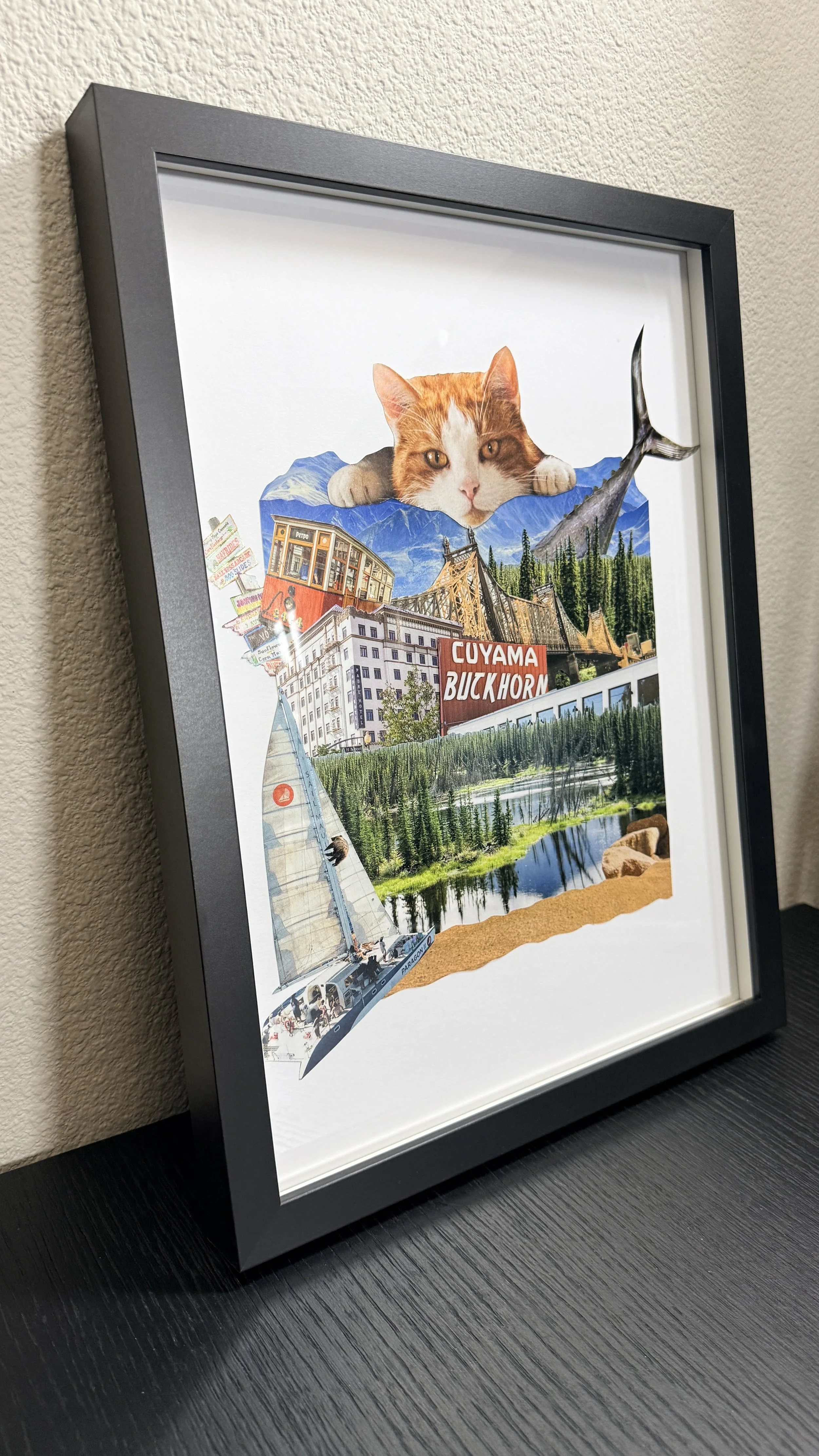 The Cat's Catch At Feline Peak