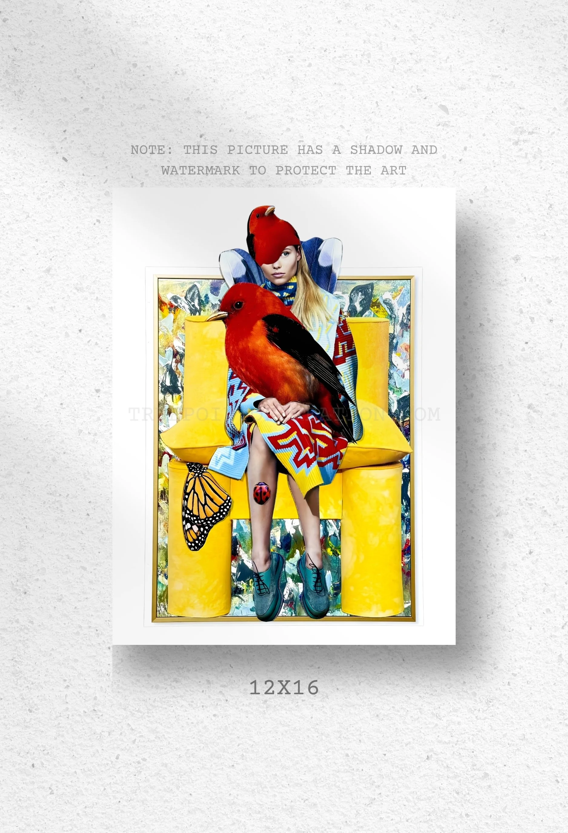 Feathered And Framed