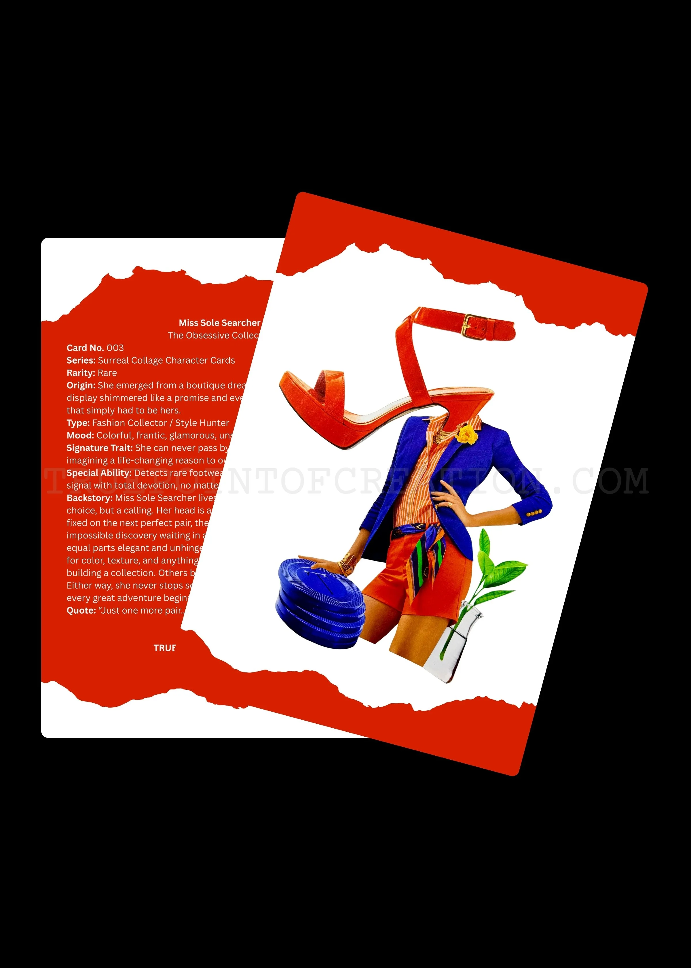 Miss Sole Searcher - The Obsessive Collector