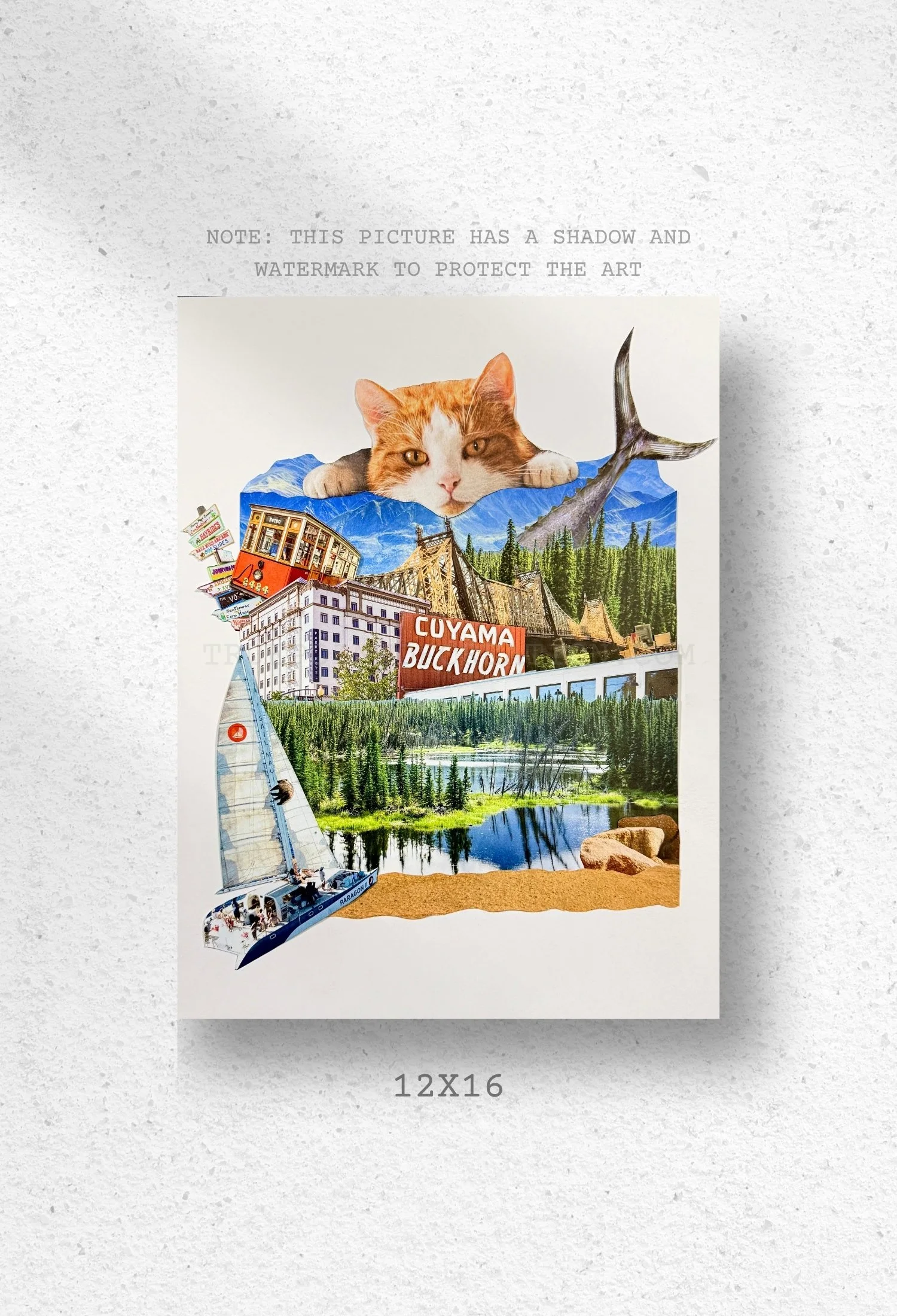 The Cat's Catch At Feline Peak