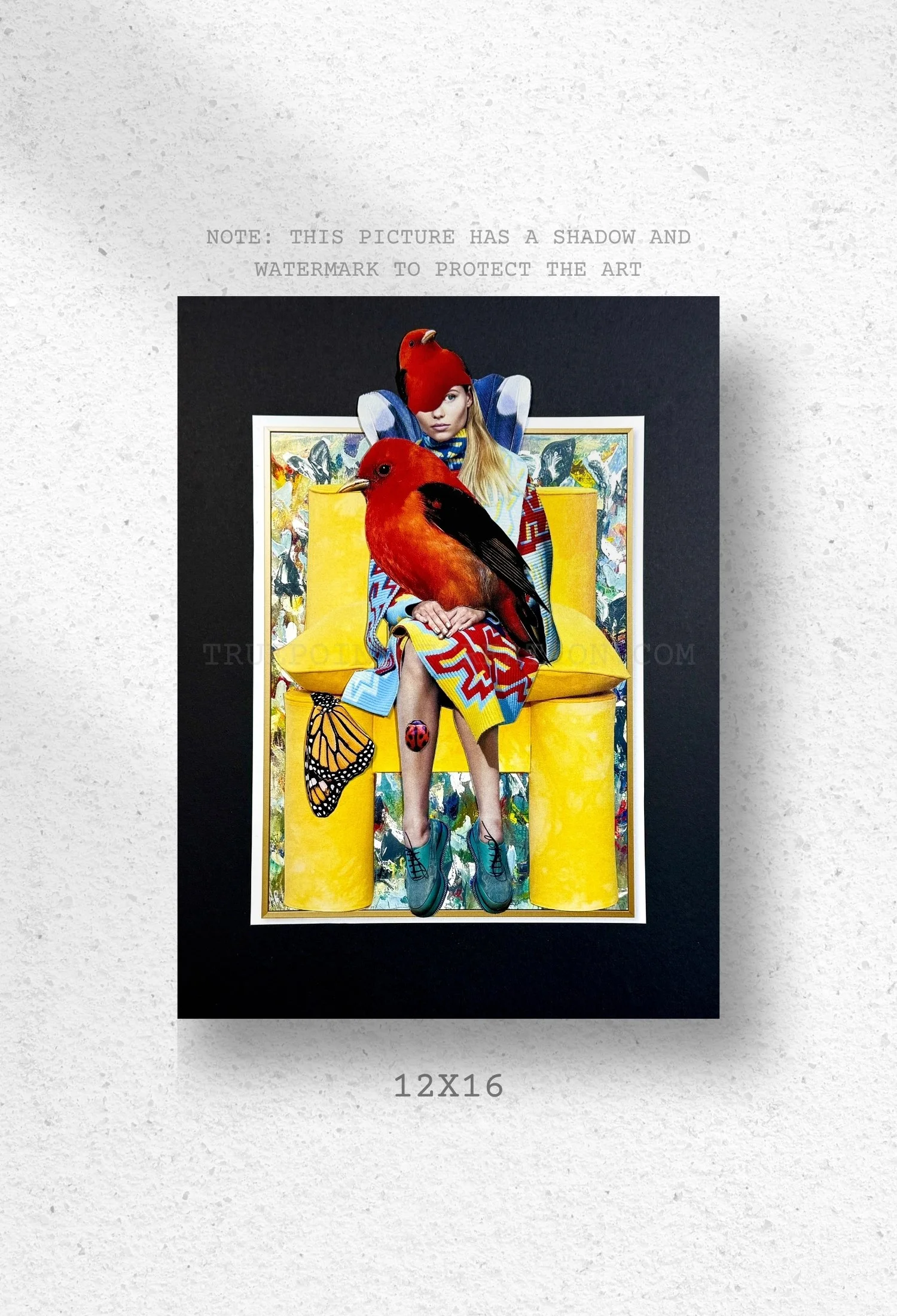 Feathered And Framed