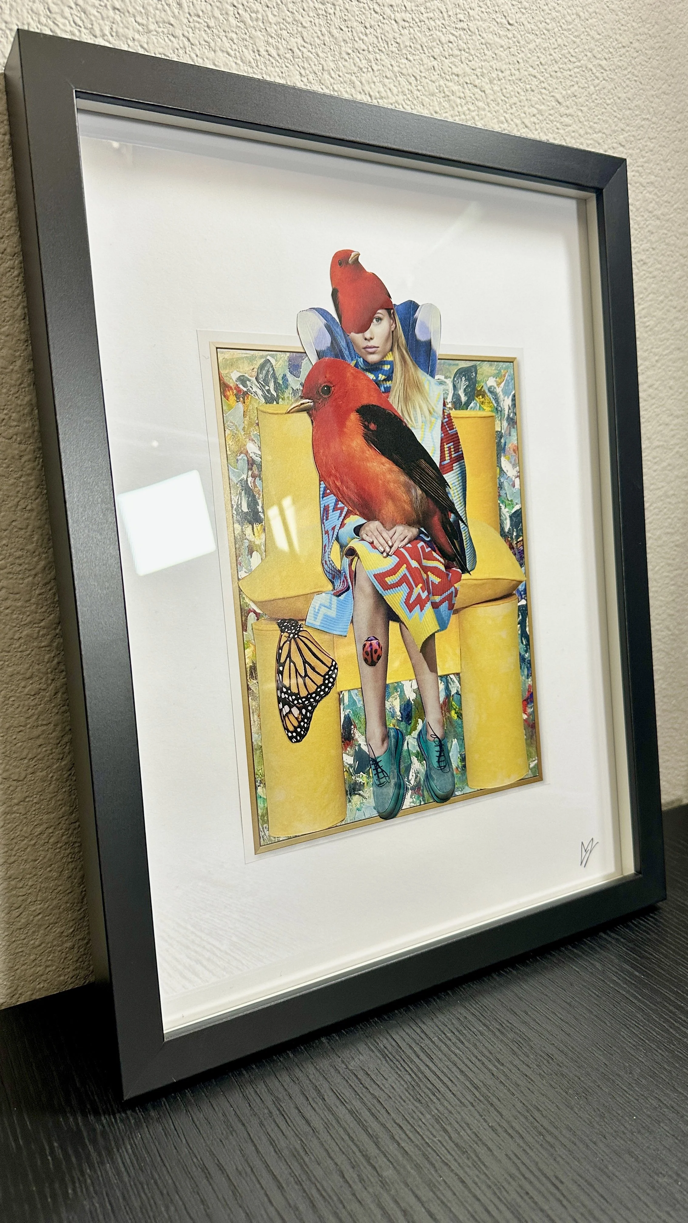 Feathered And Framed