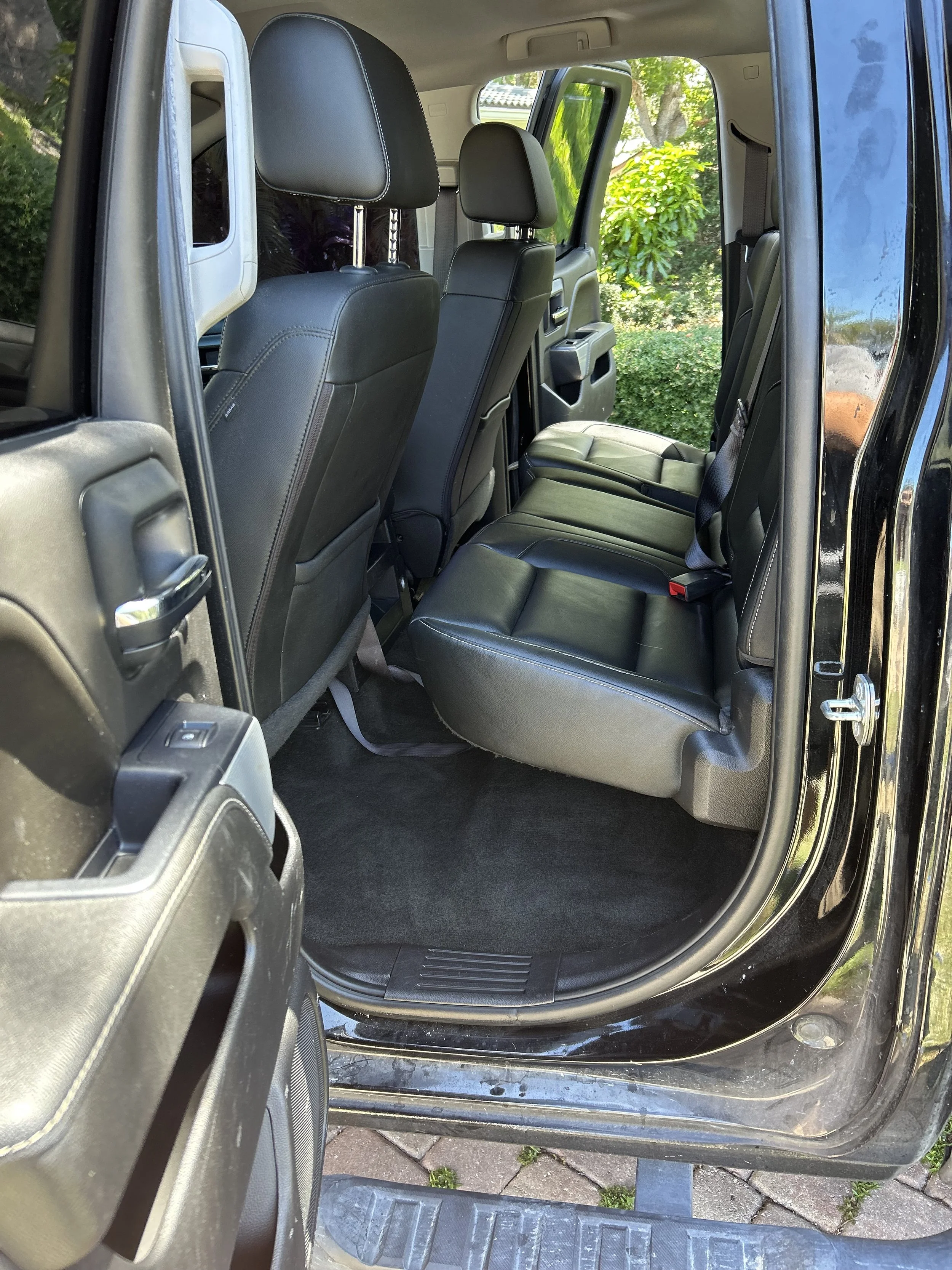 The interior of a black SUV showing the back seats and part of the front seats, with the door open and greenery outside.