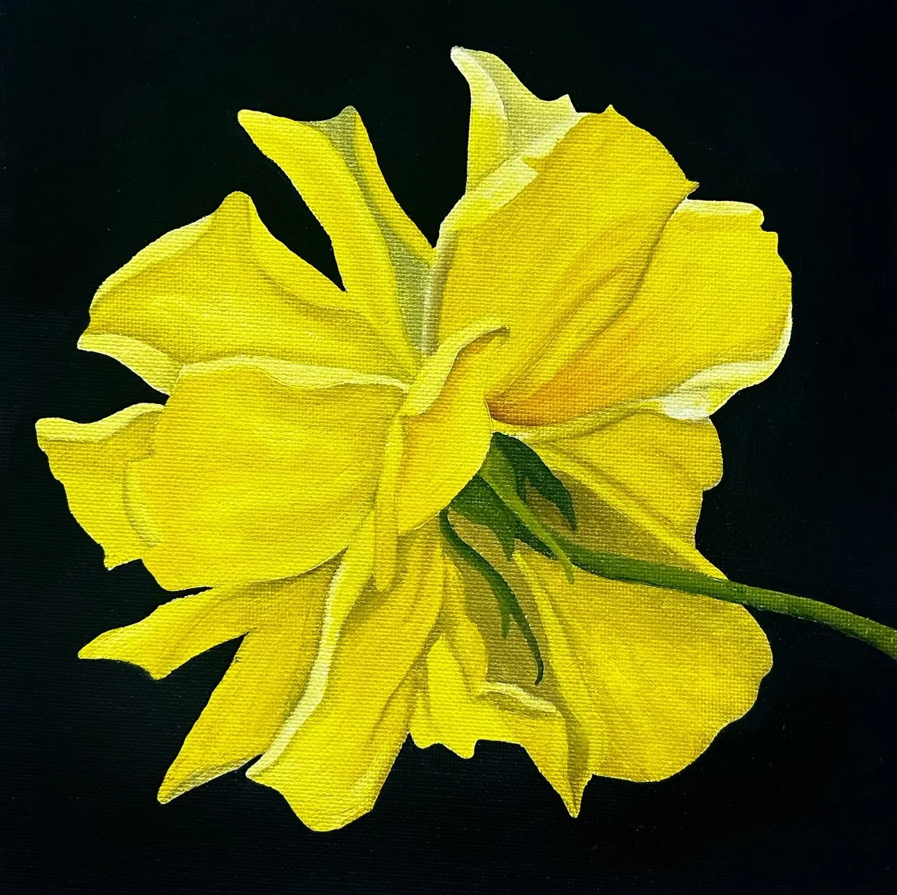 *PREORDER* Wild Rose Fine Art Print