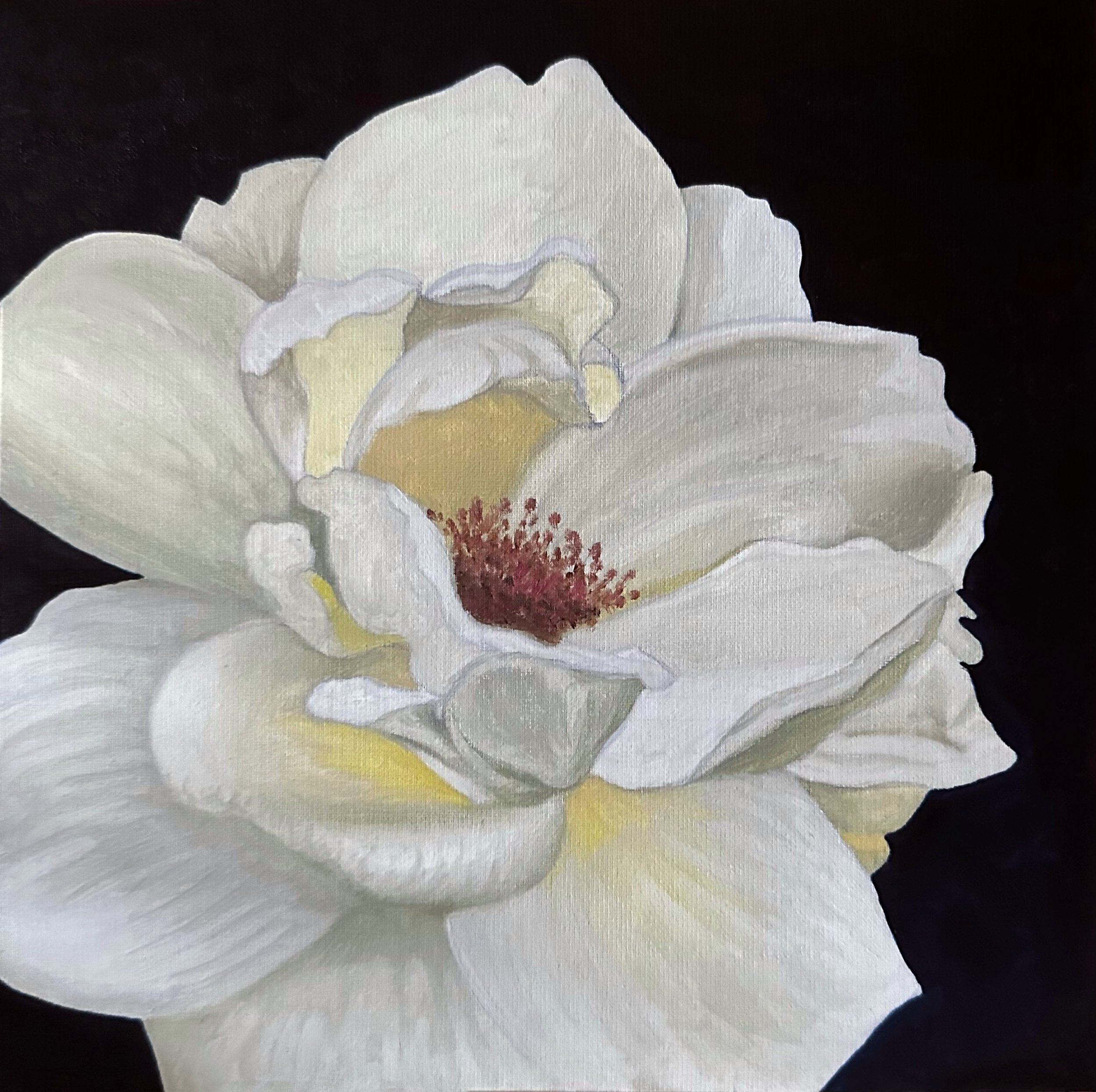 *PREORDER* White Rose Fine Art Print