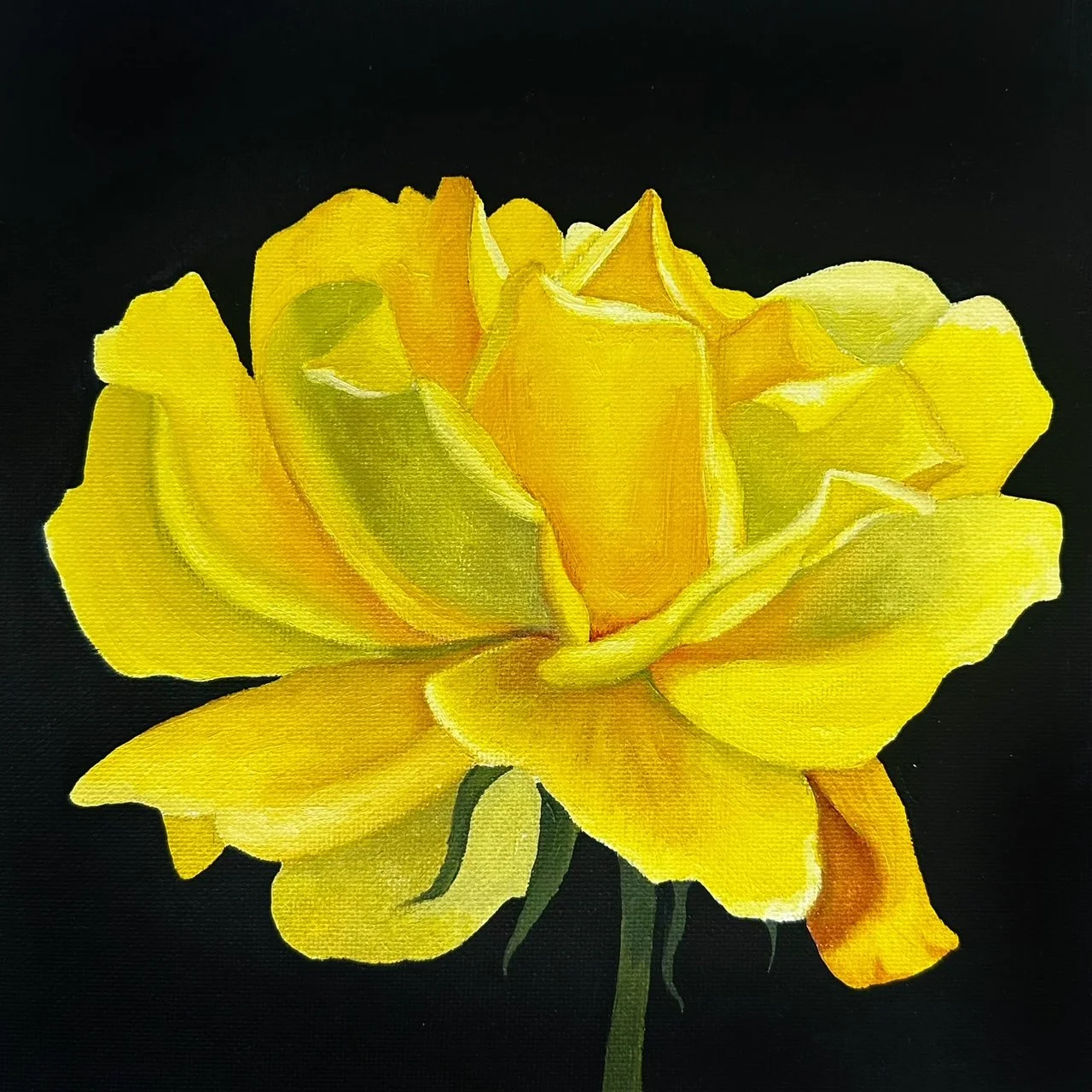 *PREORDER* Yellow Rose Fine Art Print