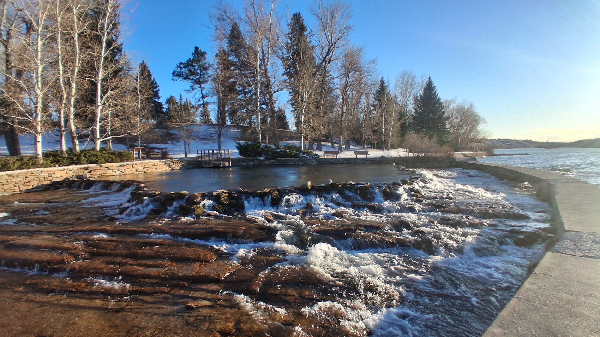 A scenic view of a river with flowing water snow-covered trees and benches along the riverbank on a clear, sunny winter day. Giant Springs State Park, Great Falls, MT.