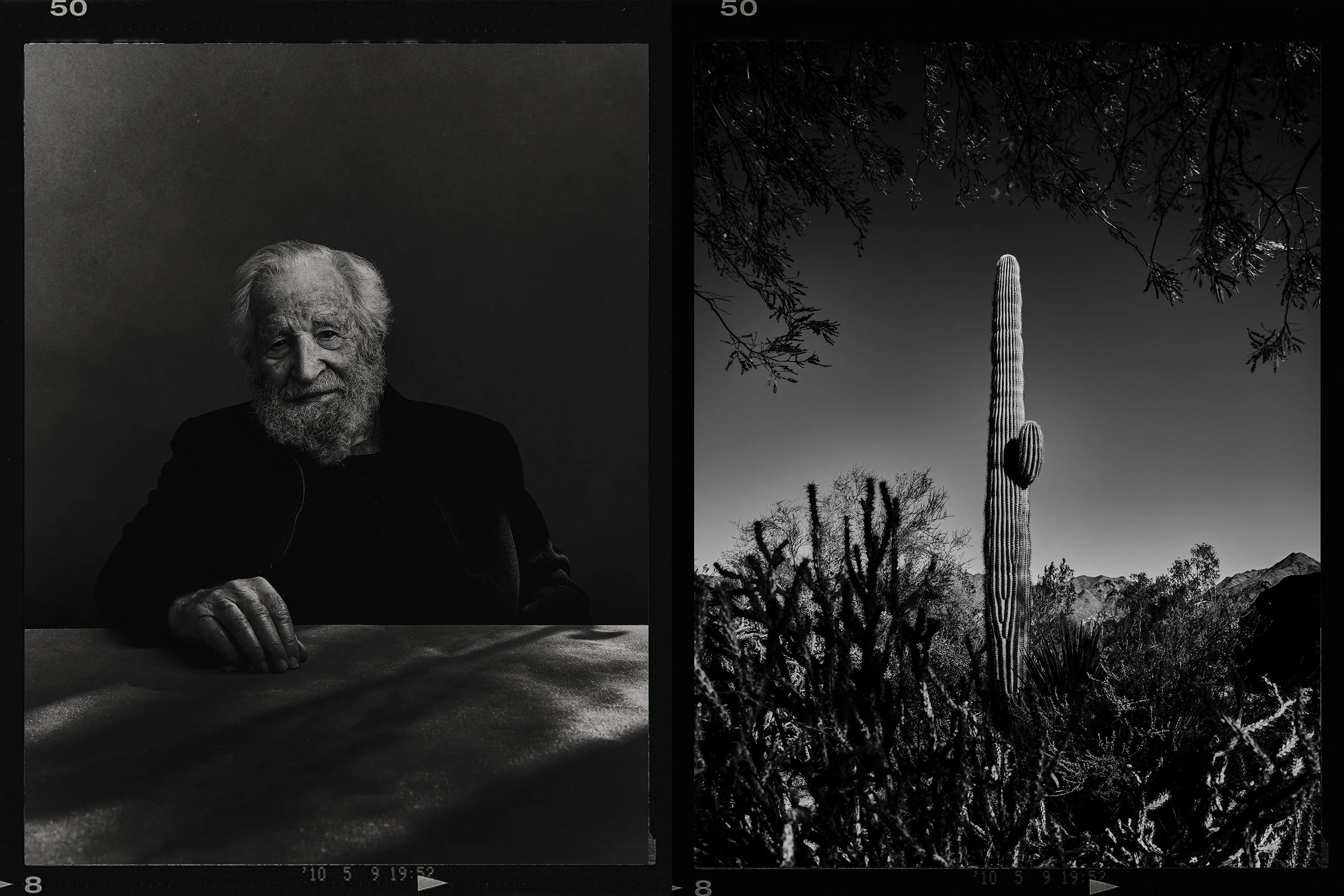 Noam Cactus-Web.jpg