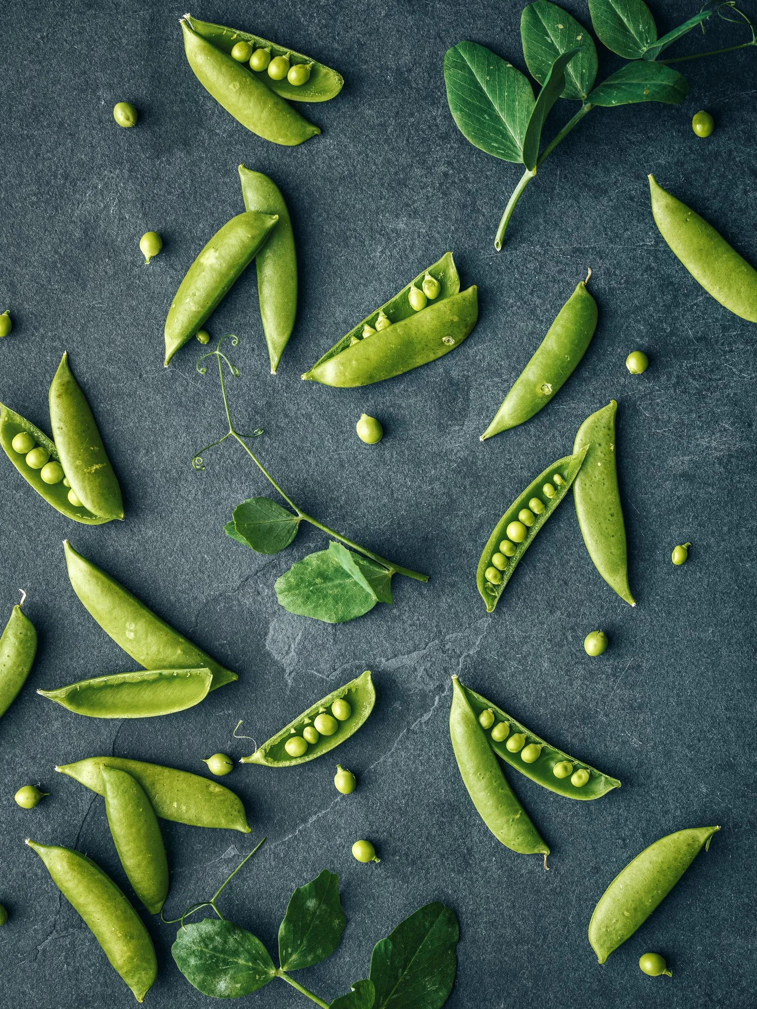 PlantedProductShoot_28_Peas_1182.jpg