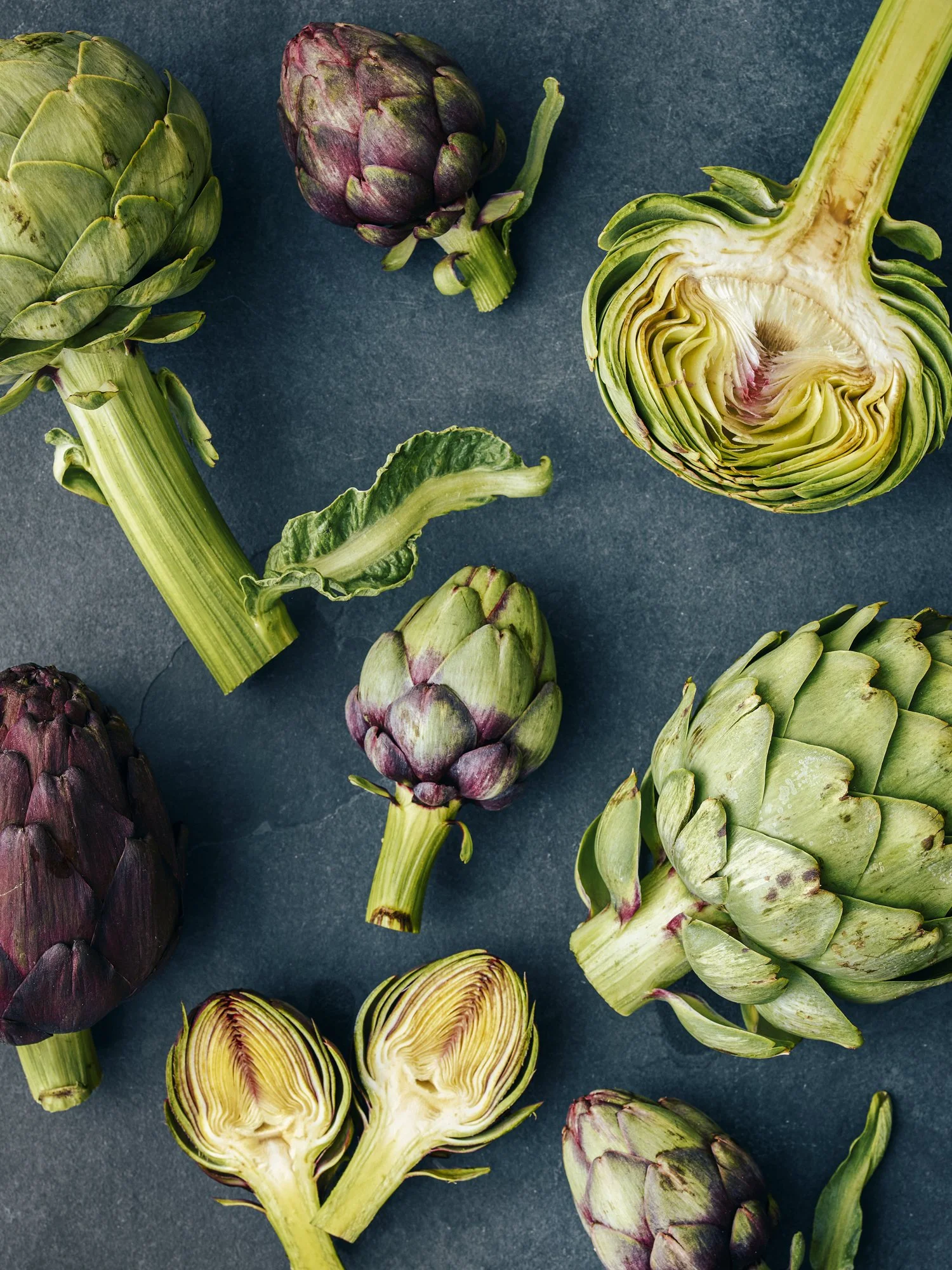 PlantedProductShoot_24_Artichoke_1071.jpg