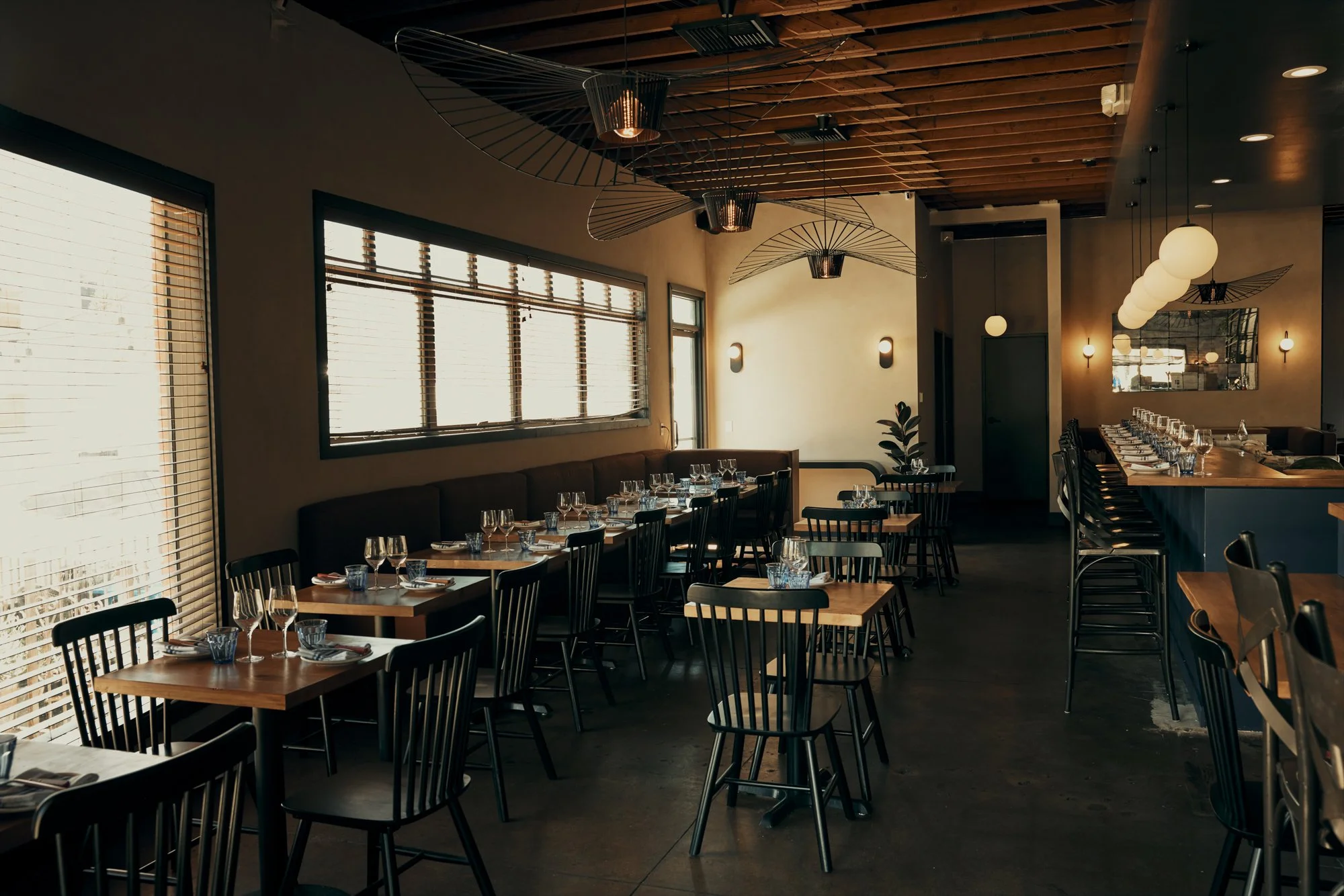 20250820_Electric Bleu_00021.jpg