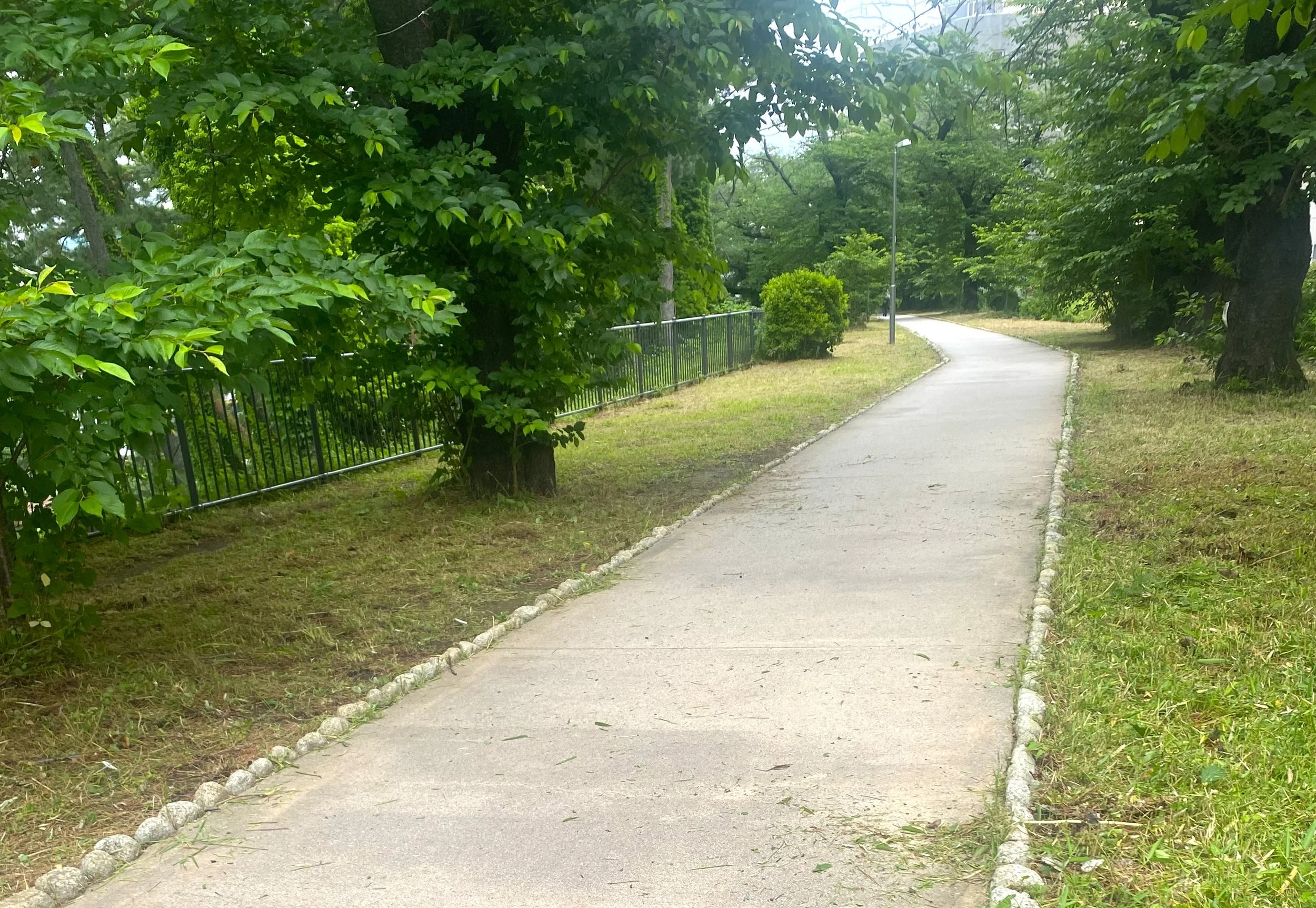 カウンセラーは贈り物をもらっても良い？｜感謝と境界について考えてみた