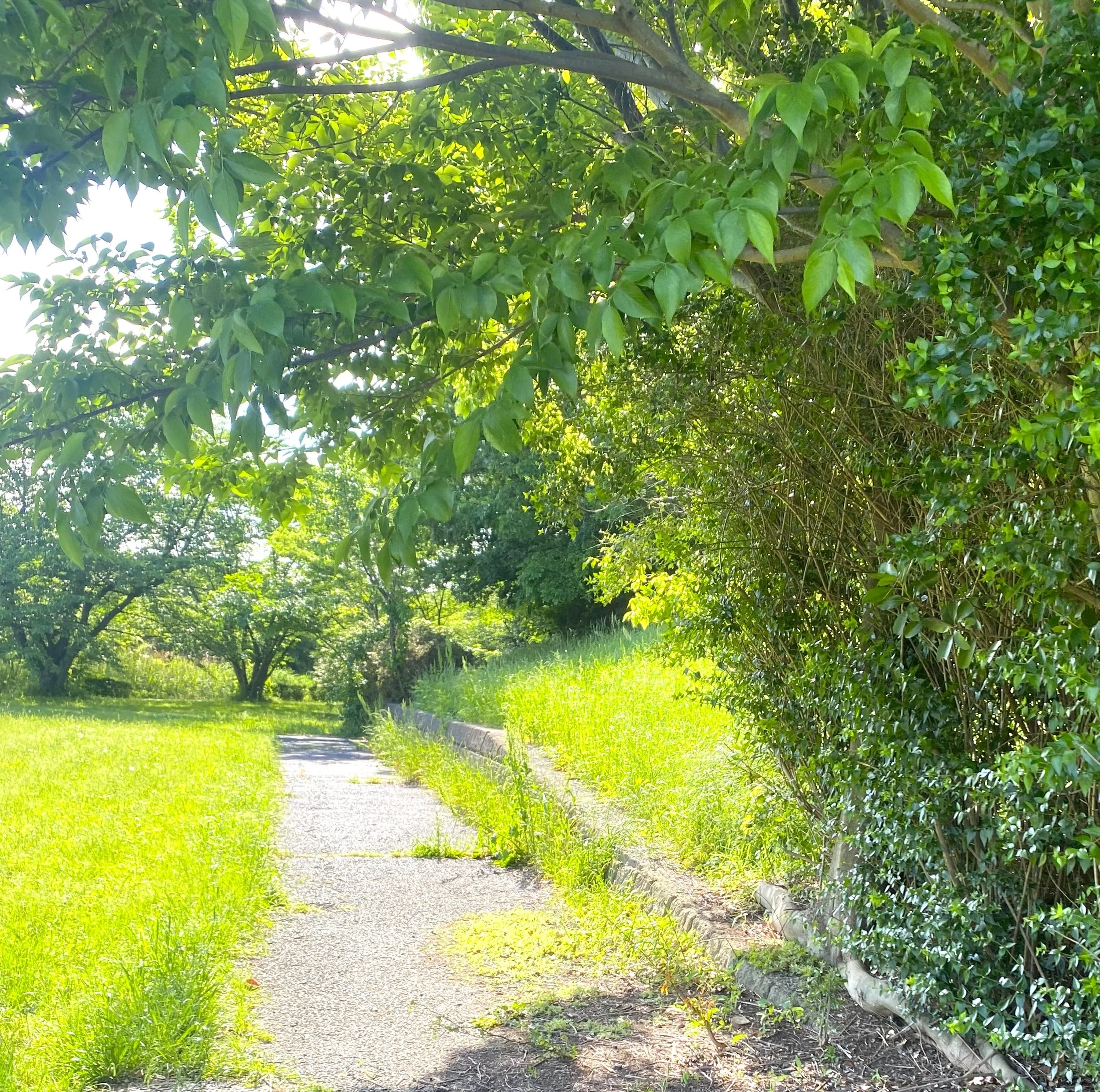 仕事では頑張れるのに、休み方がわからないあなたへ｜仕事モードが切れない理由