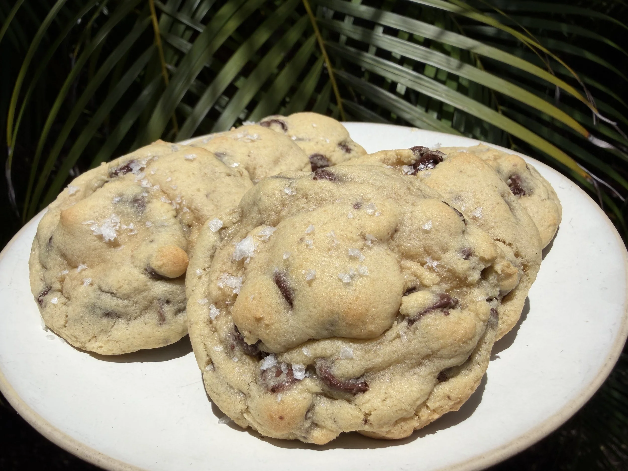Salted Chocolate chip Cookies