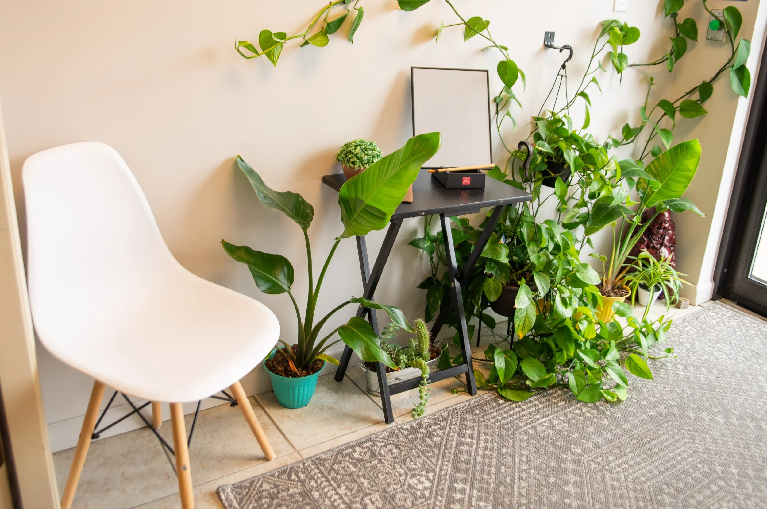 Indoor scene with a white modern chair on the left, a variety of green potted plants arranged along the wall and on a small black table, and a patterned rug on the floor near a glass door on the right.