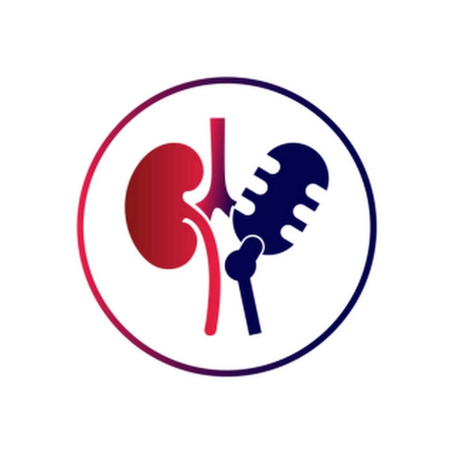 Ilustração de um rim e uma pedra de cálculo renal dentro de um círculo, simbolizando problemas renais ou cálculo renal.