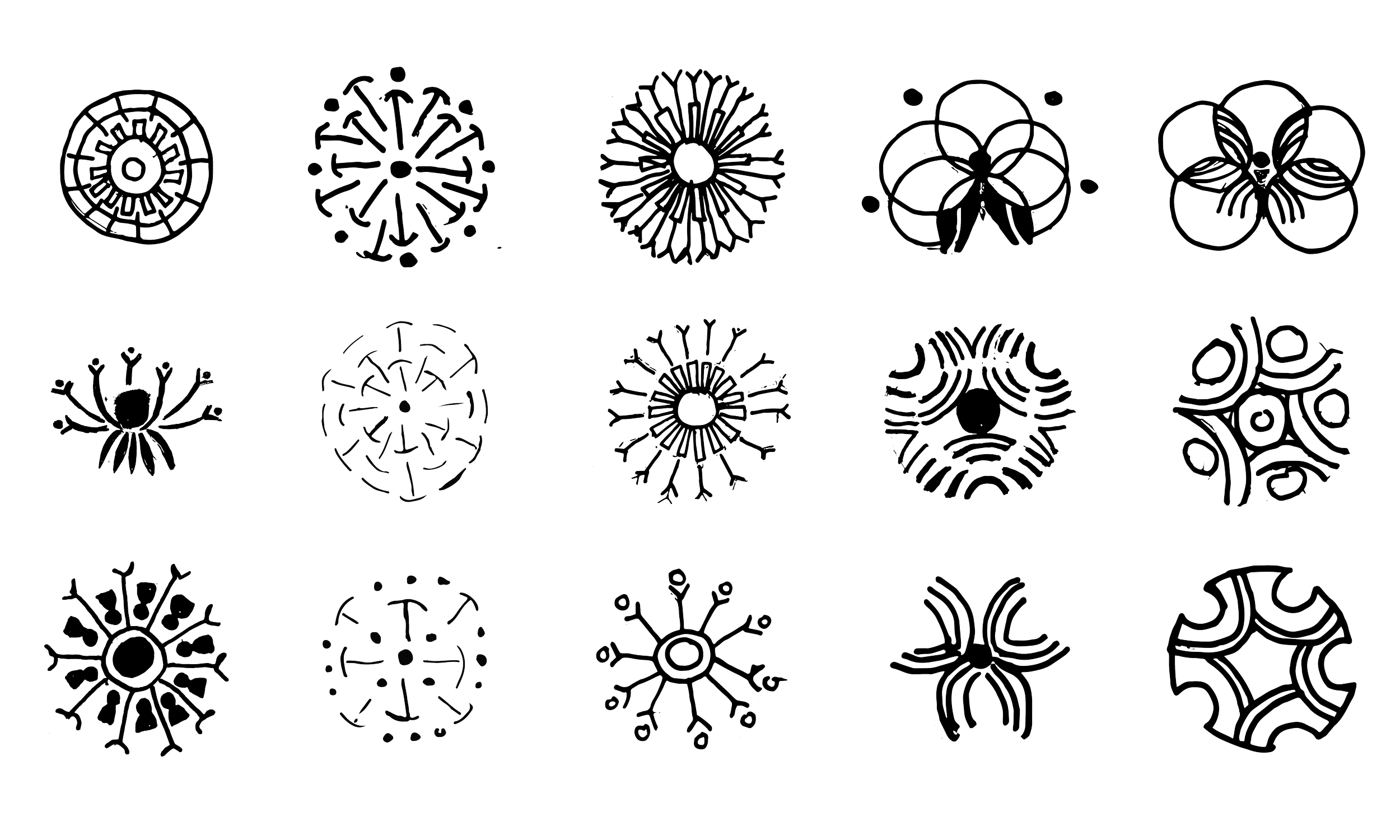 shortino_sketches_web.png