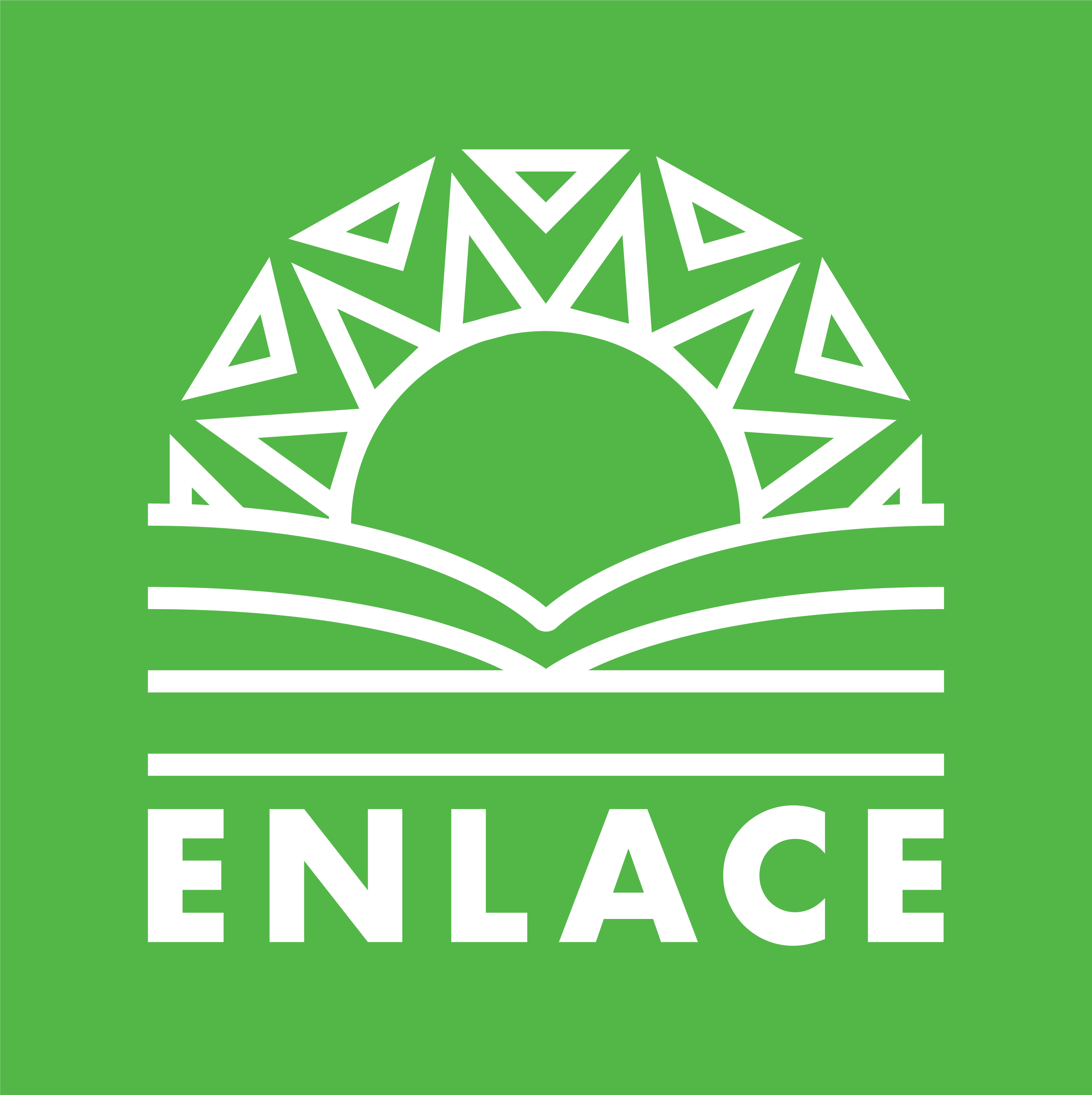 Portfolio_ENLACE_1.png