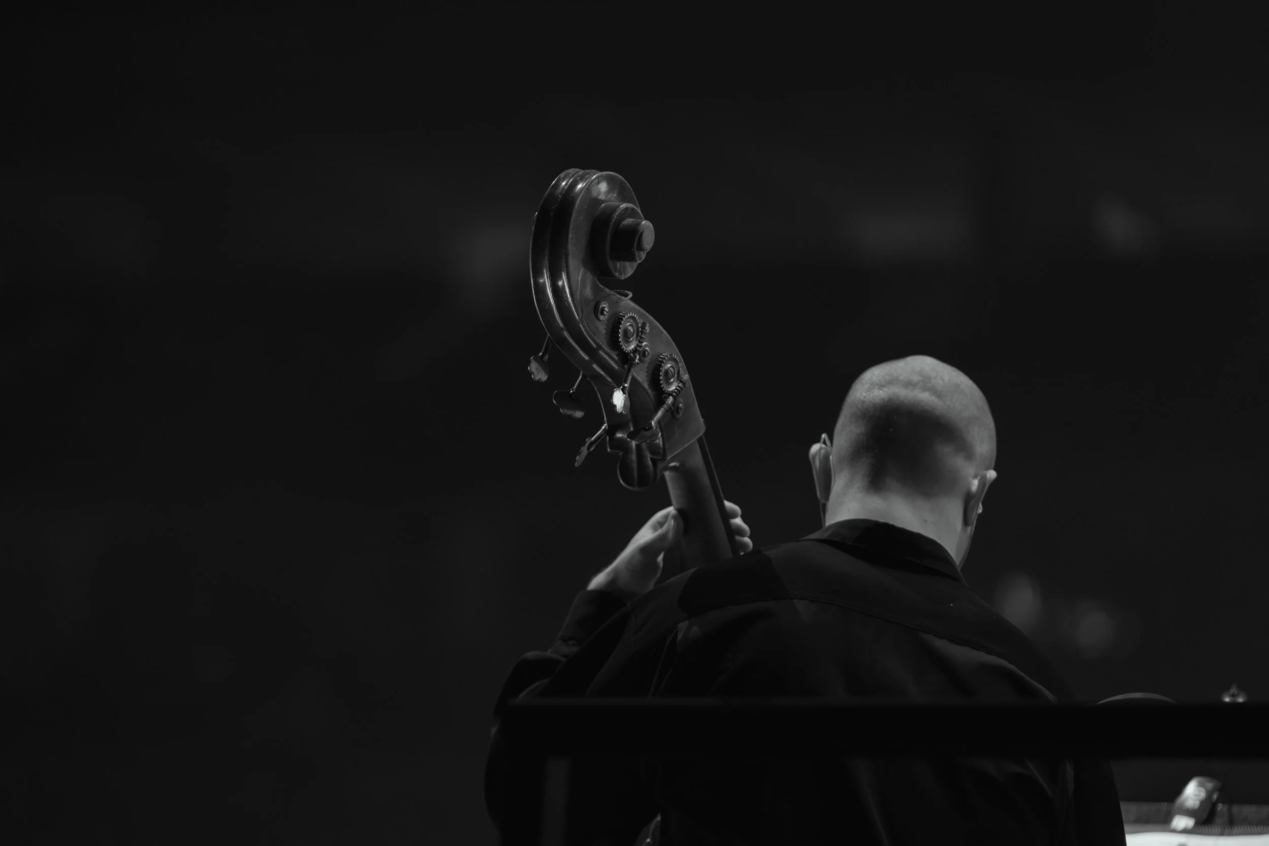 Marvel in Concert