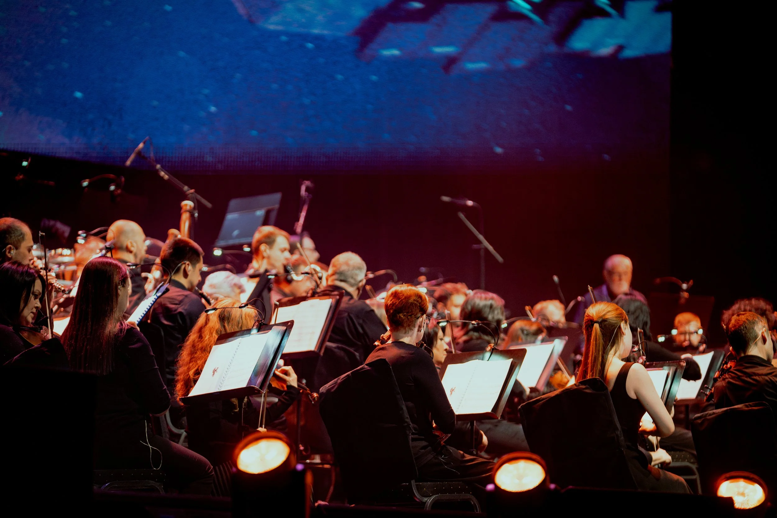 Marvel in Concert