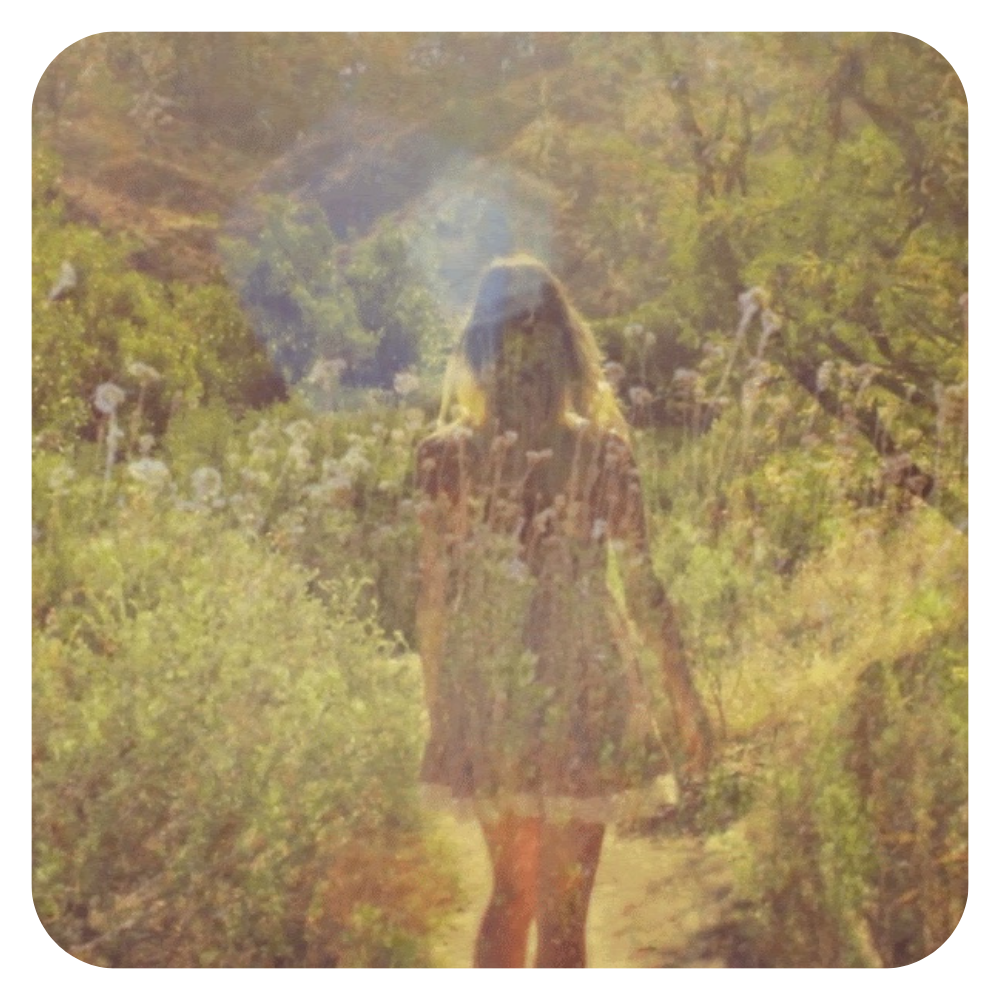 A person walking through a field with green bushes and trees, captured during a sunny day, with sunlight creating a hazy effect.