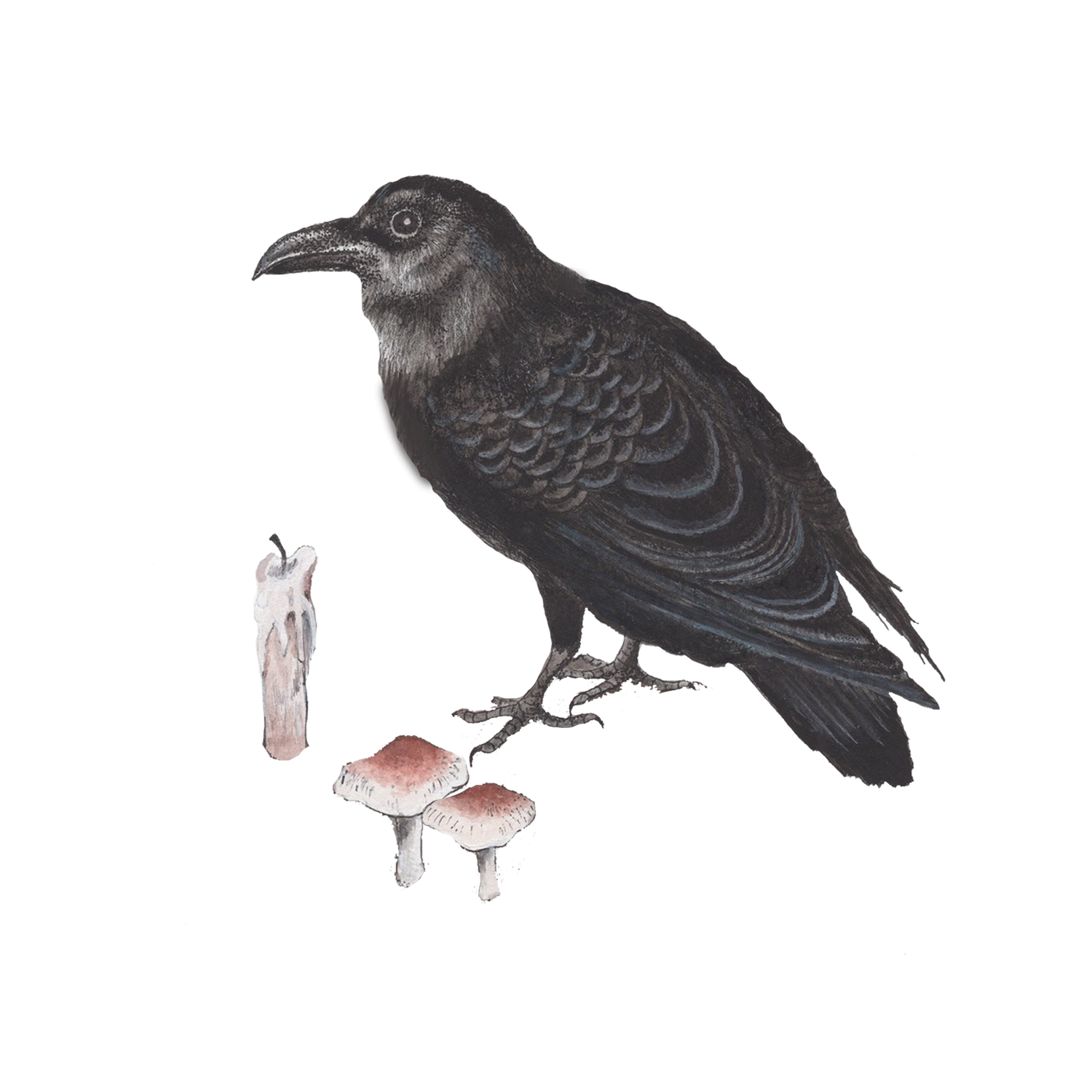 Send a Raven - Watercolor Illustration by Heeya So