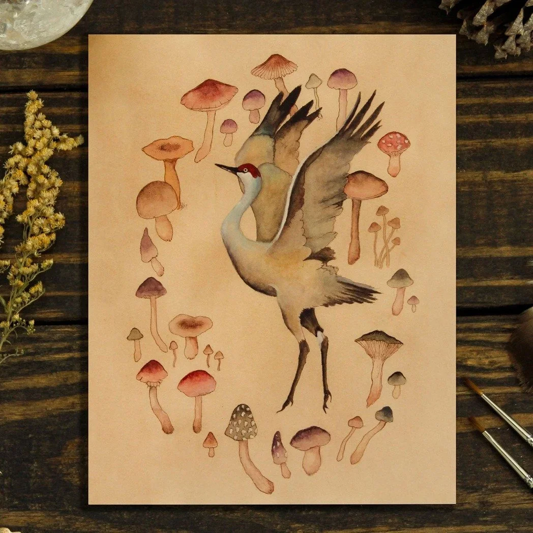 Watercolor painting of a crane surrounded by colorful mushrooms - by Heeya So.