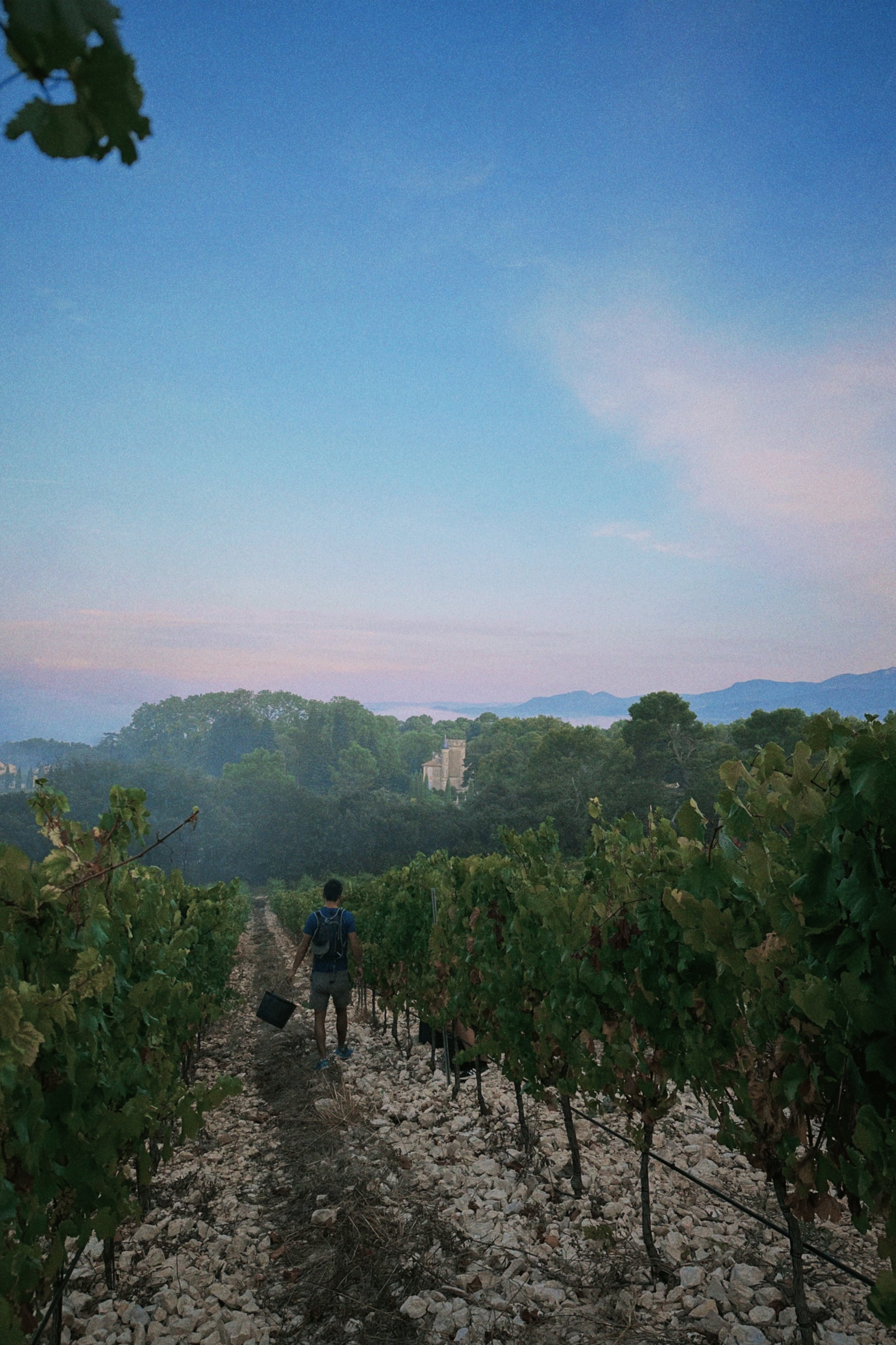 dqs 2024-08-30 184312.474.jpeg