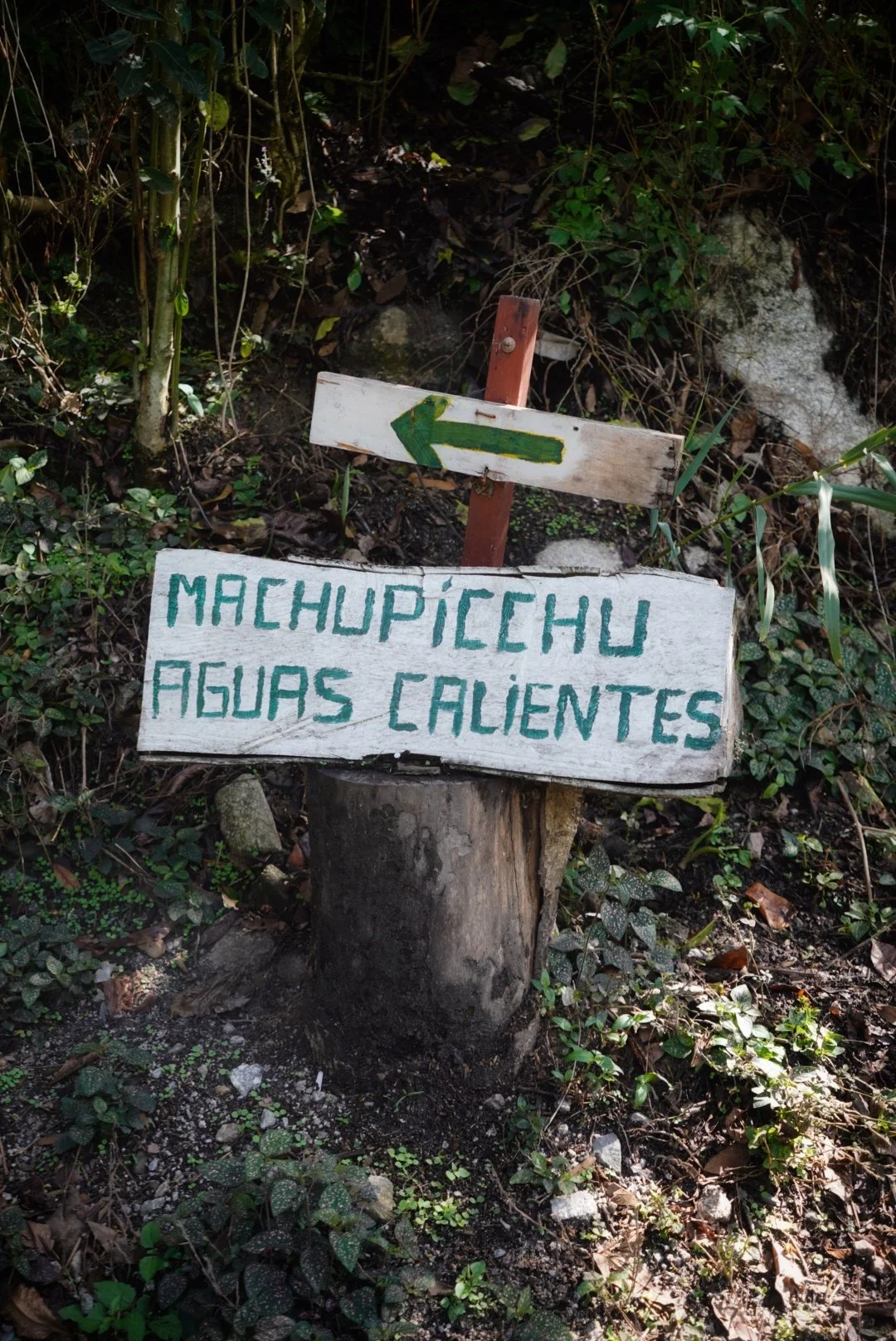 Estadio Olímpico, Mexico City