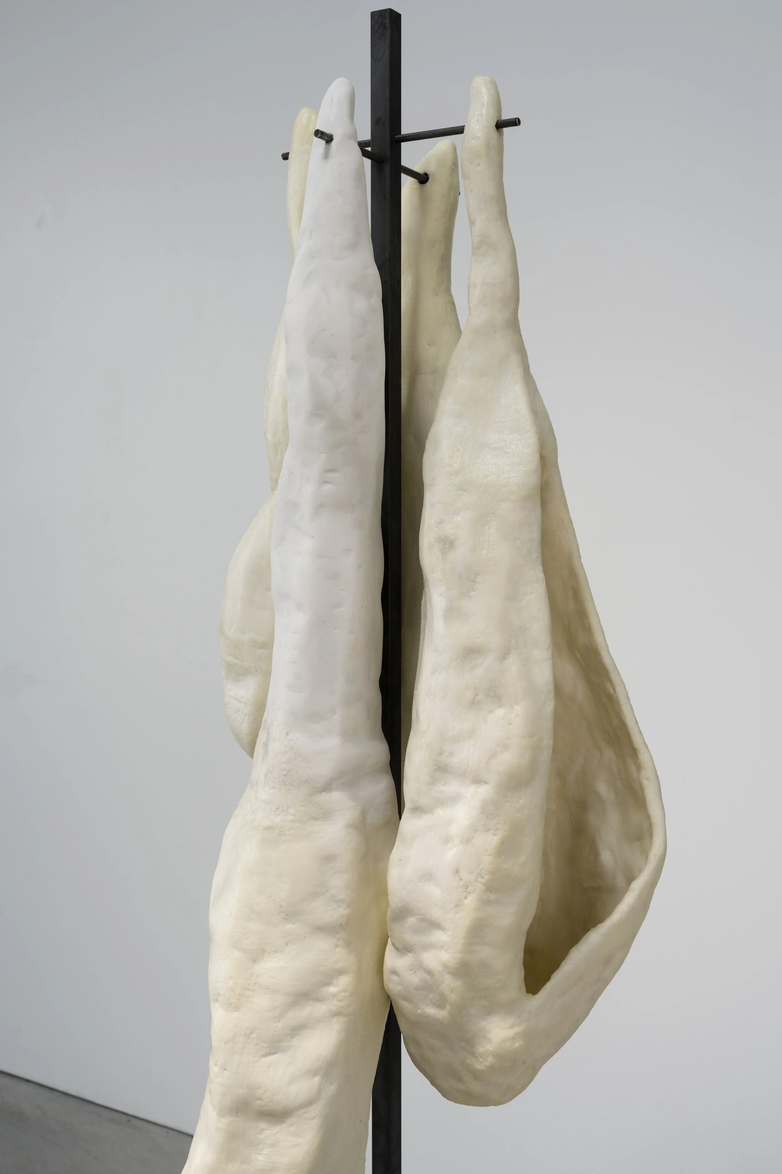 Lucía Reissig.
Bones, 2024
Metal, plaster, paraffin, beeswax
20x15 Inches.