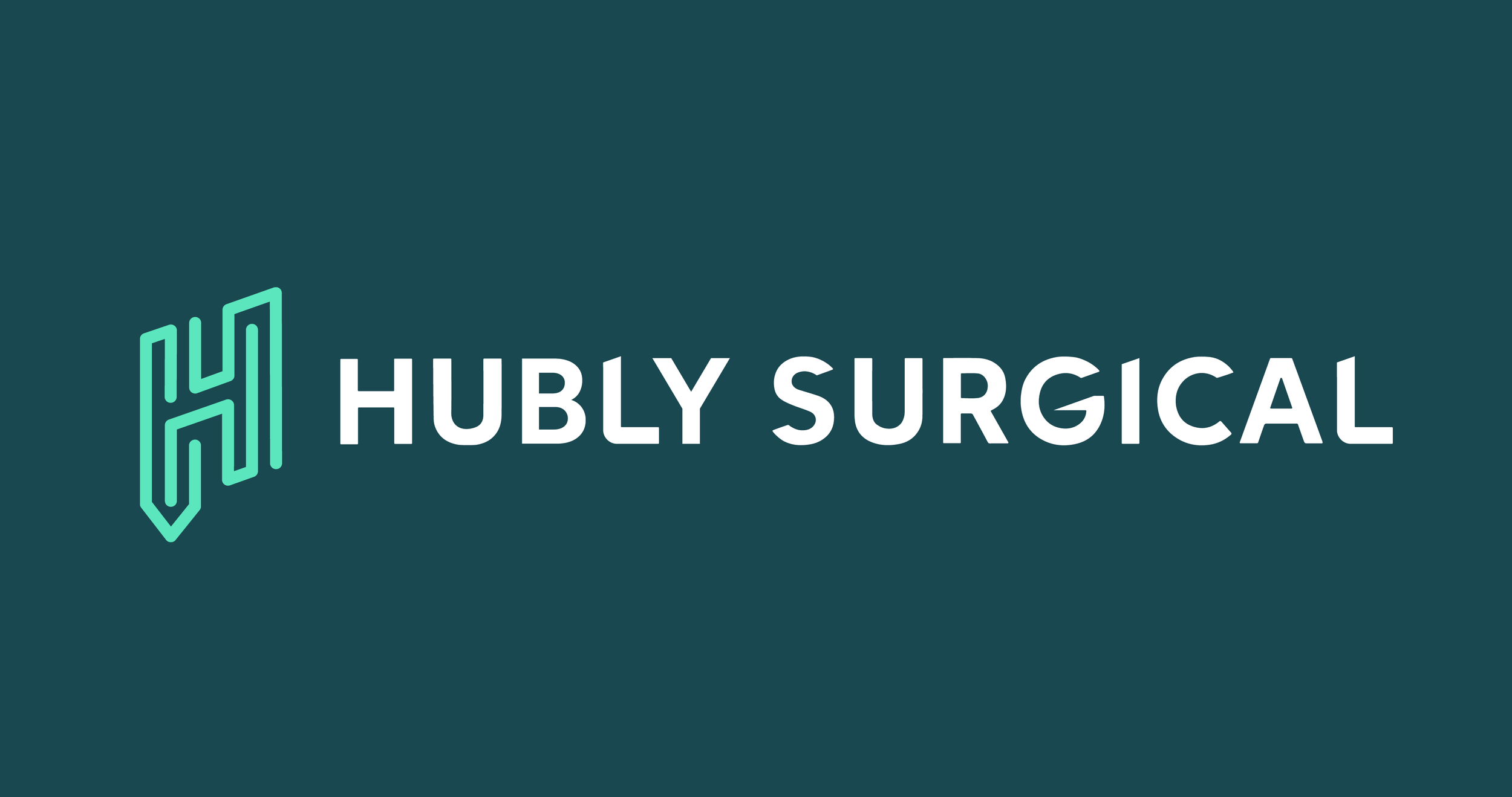 HUBLY-03.png