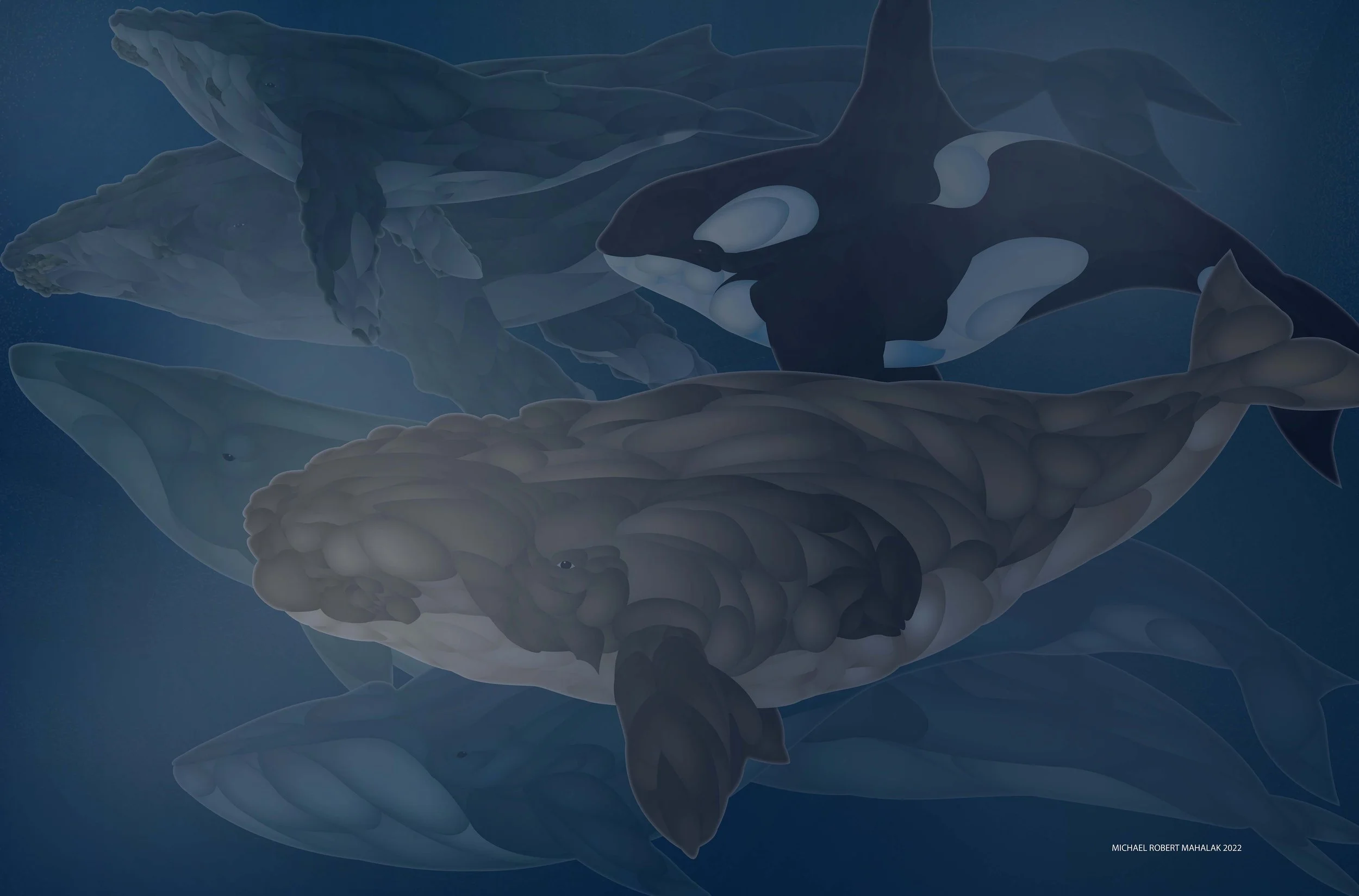 "Night Time Swim", Digital, 18.5" x 12.2", 2022