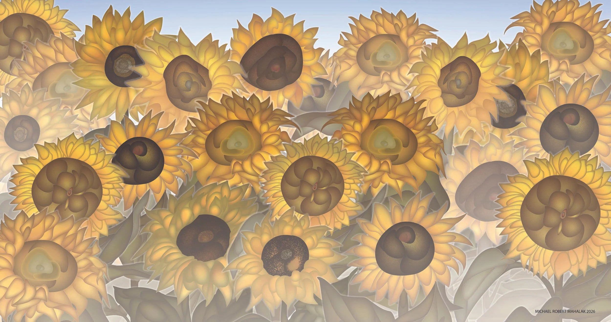 SunFlowers throughout the Day