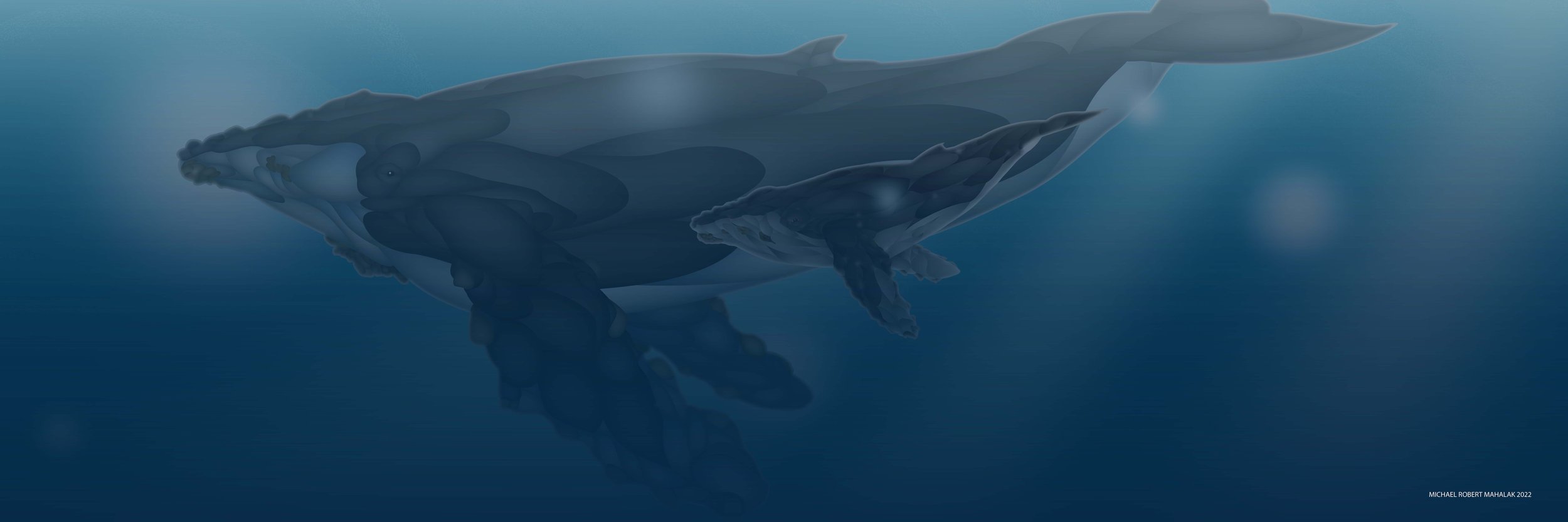 WHALES : The majestic masters of the sea